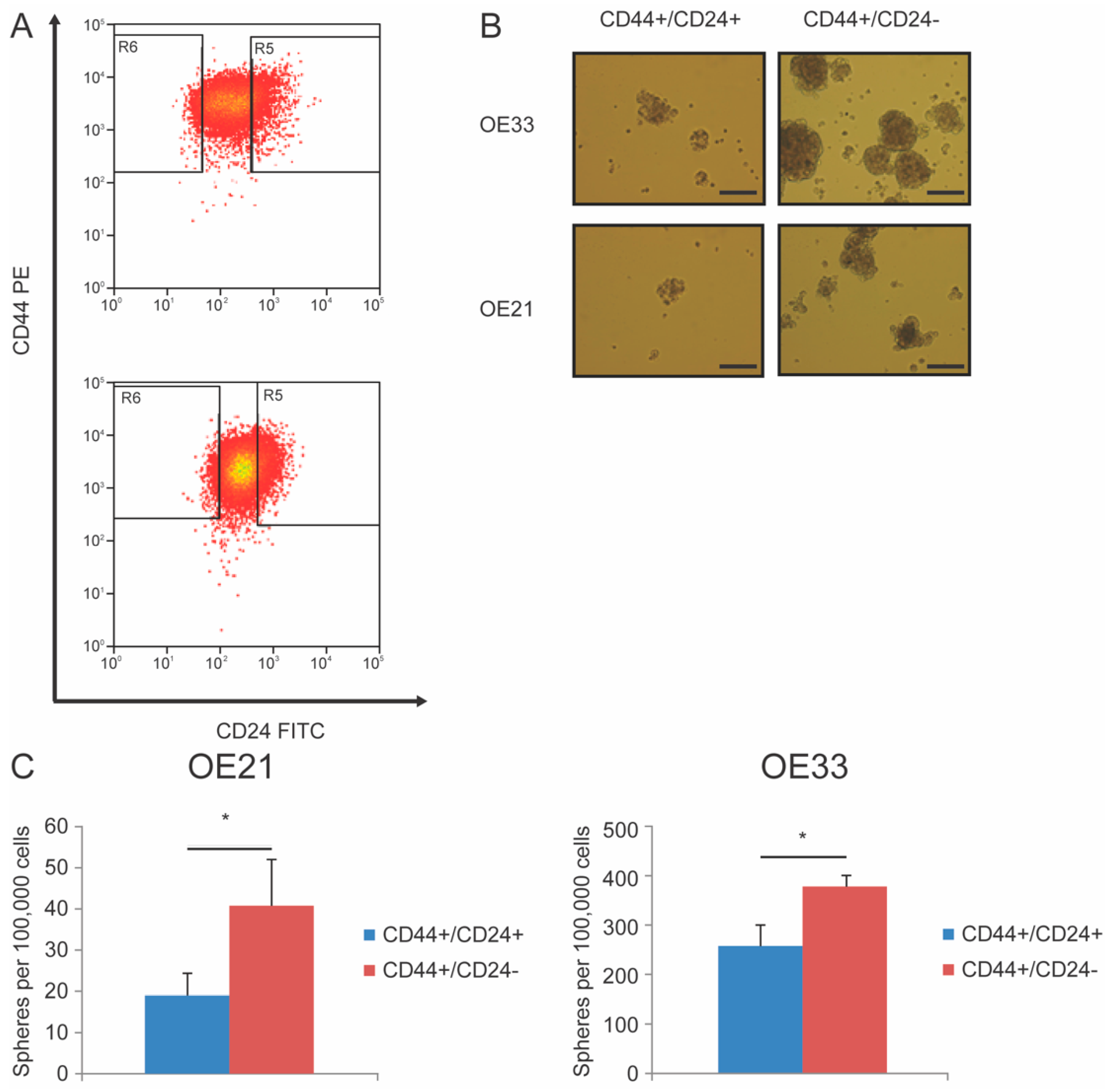 Cancers 11 00821 g002