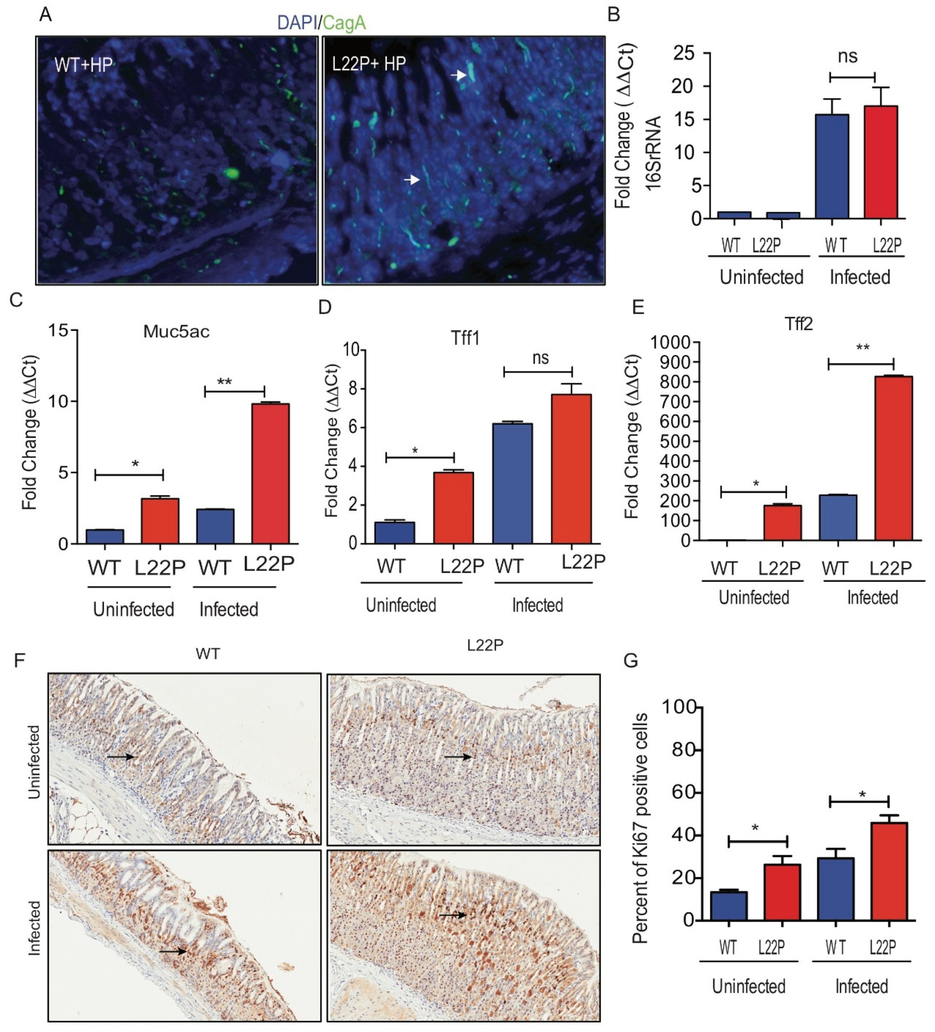 Cancers 11 00843 g001 Cancers 11 00843 g001