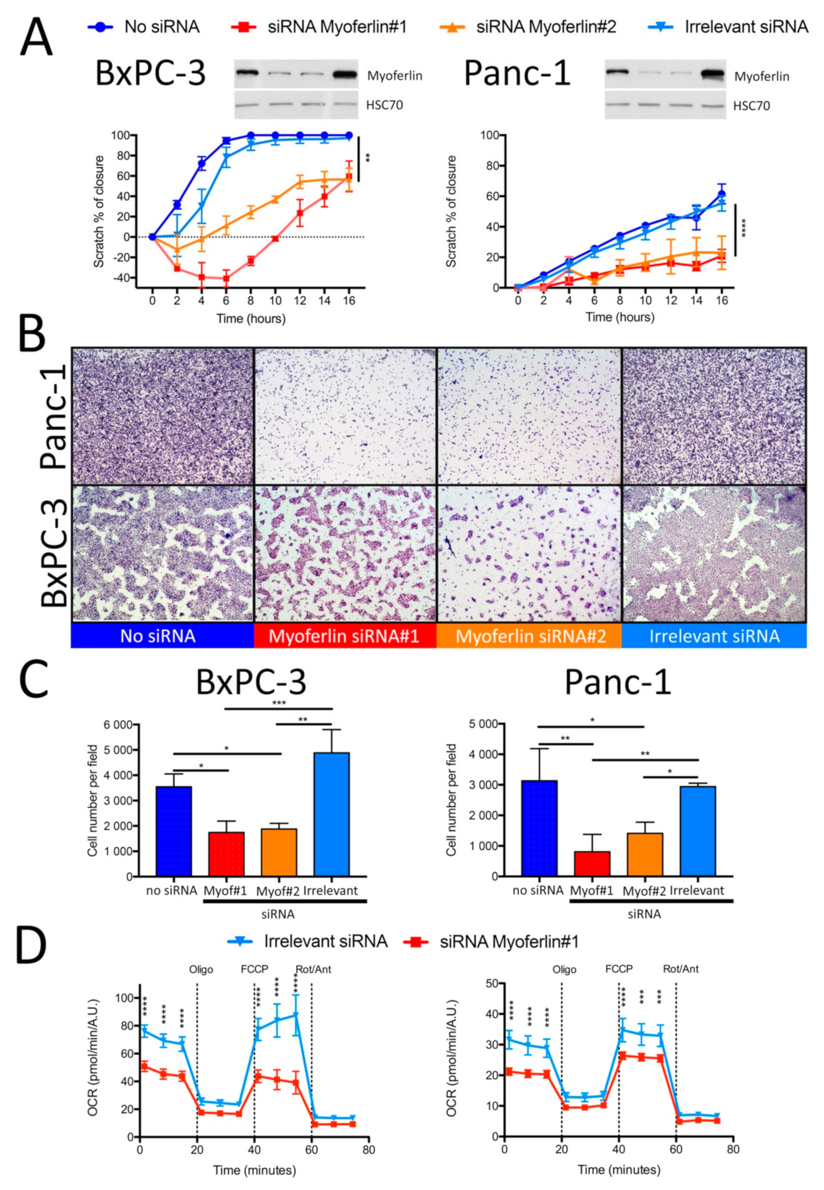 Cancers 11 00853 g003 Cancers 11 00853 g003