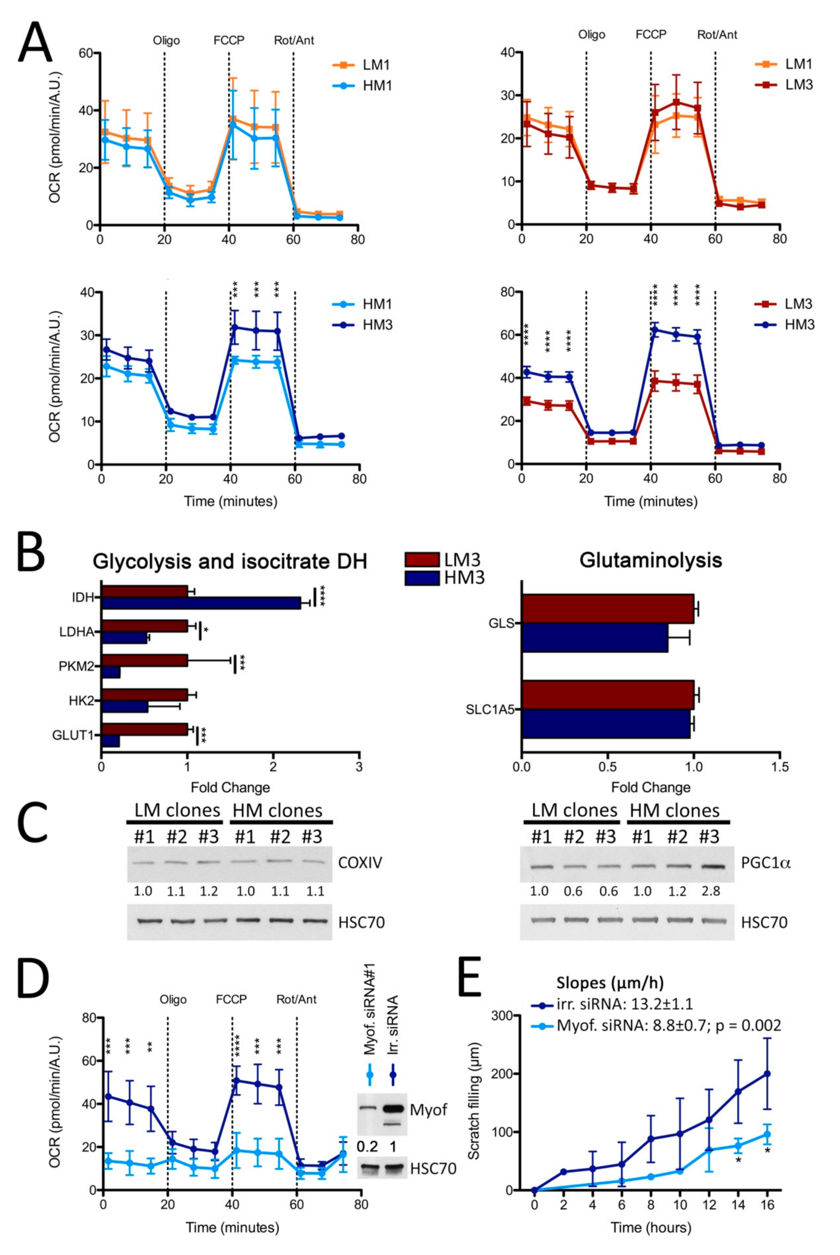 Cancers 11 00853 g005 Cancers 11 00853 g005