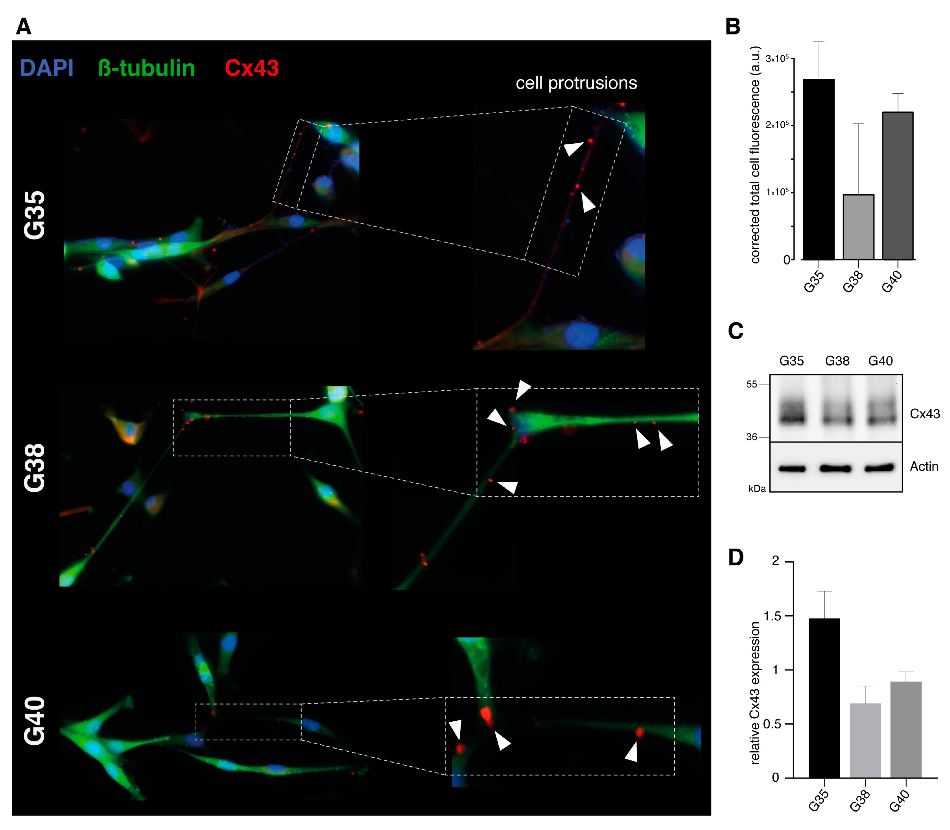 Cancers 11 00858 g001