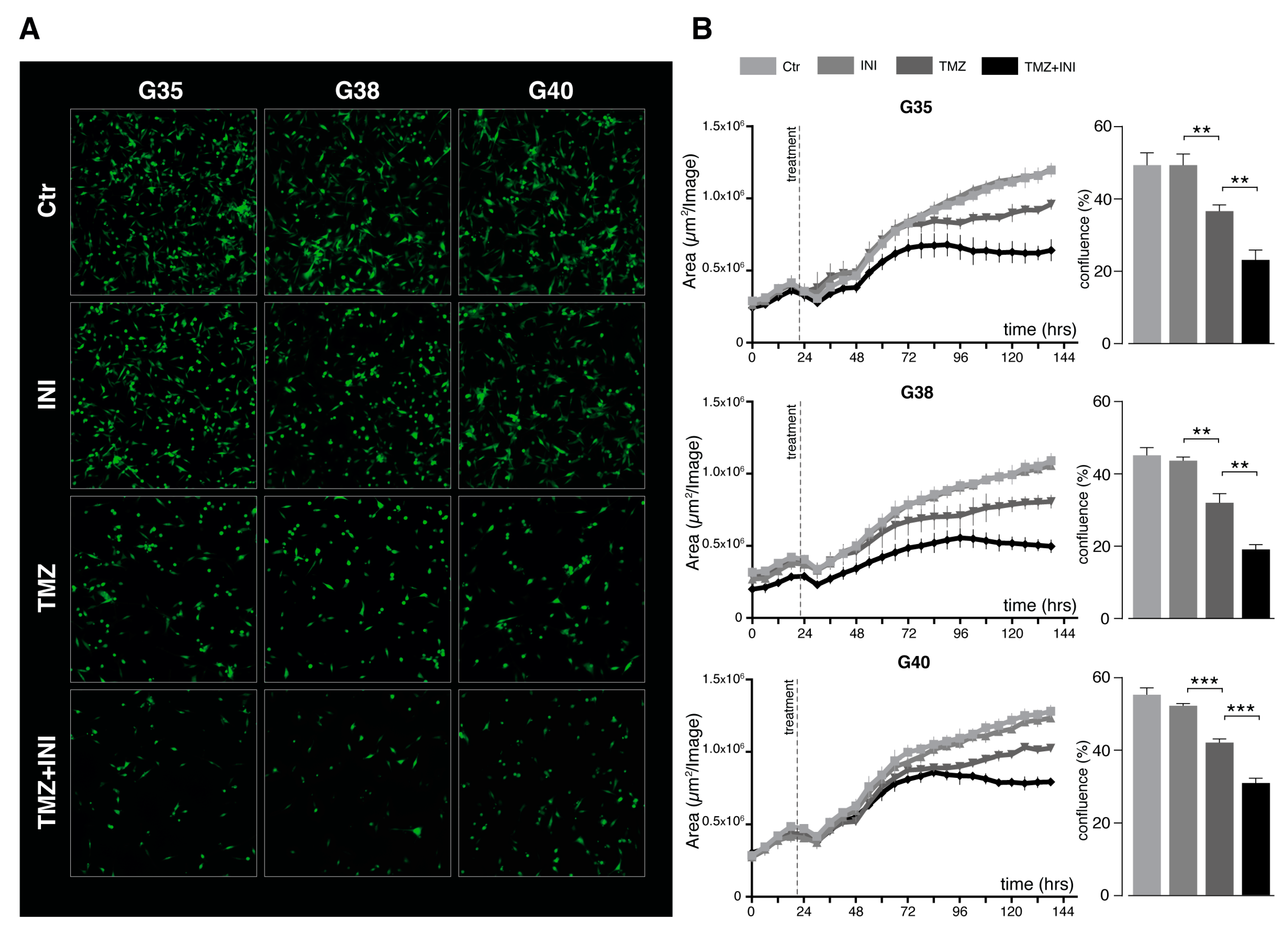 Cancers 11 00858 g003