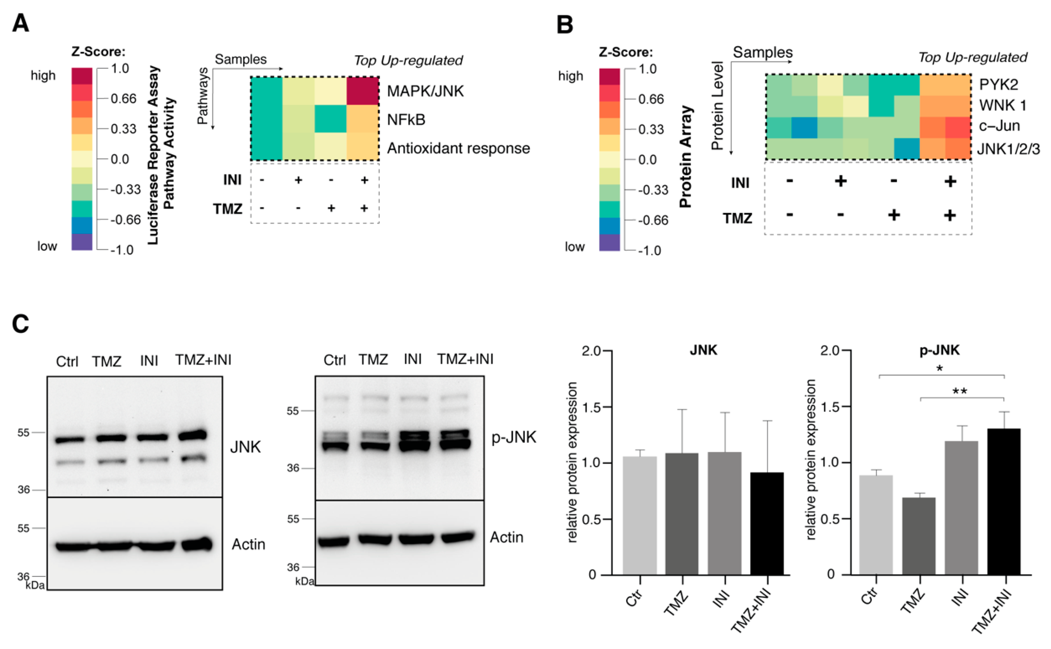 Cancers 11 00858 g006