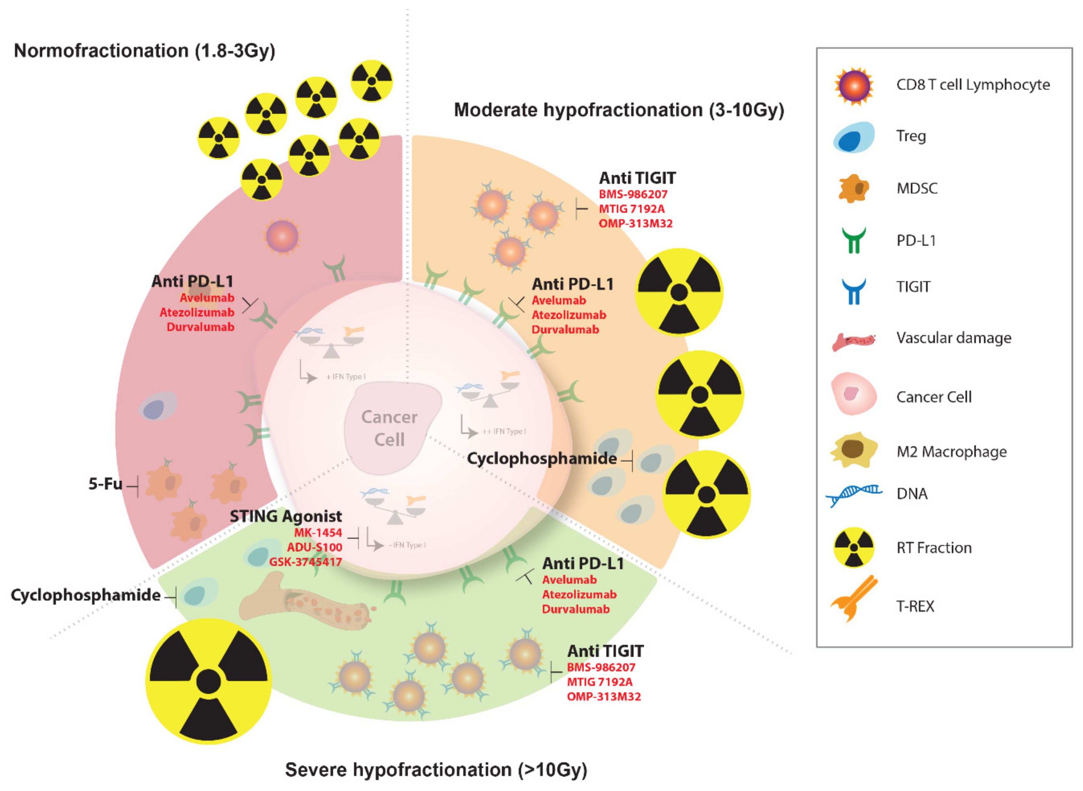 Cancers 11 00860 g003