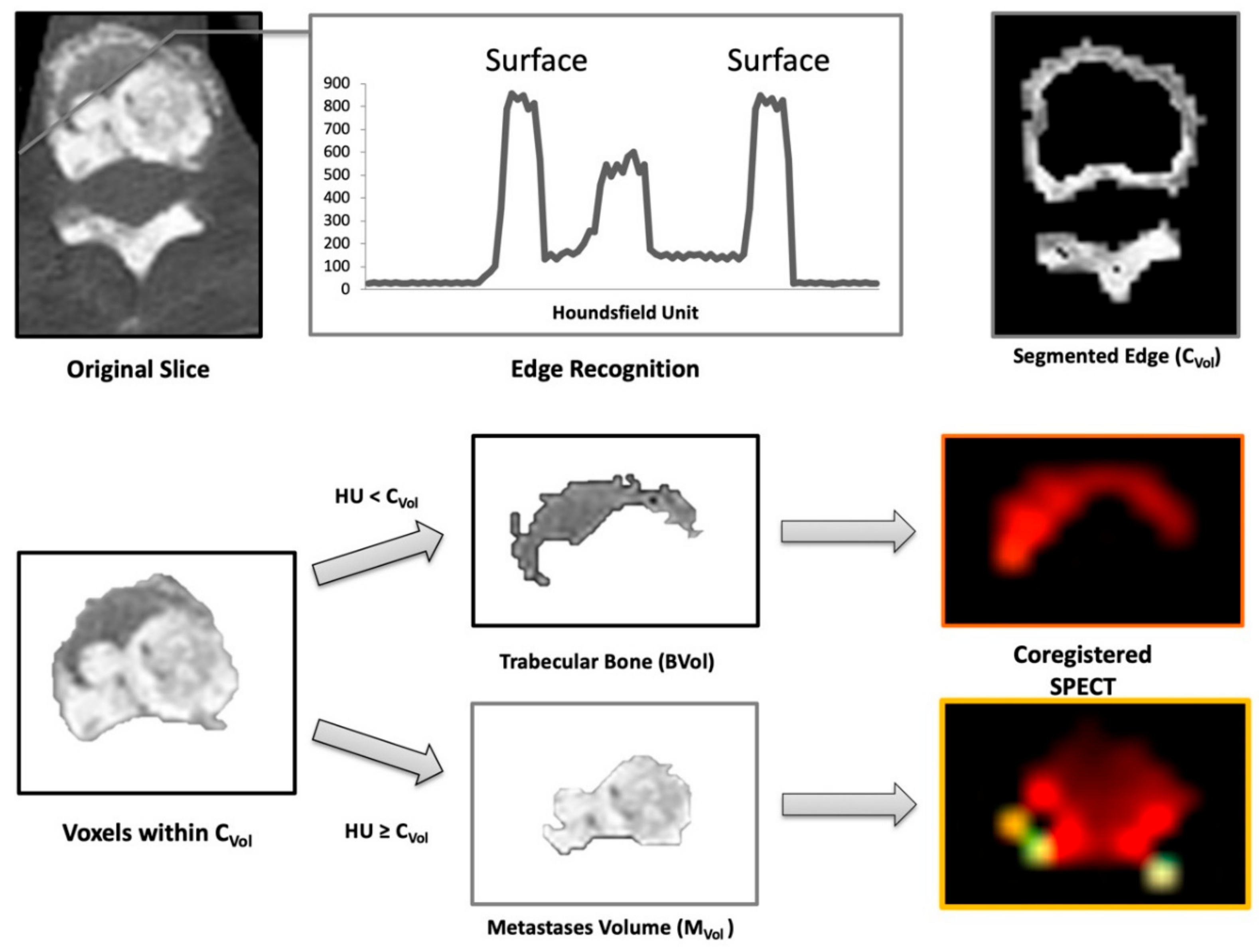 Cancers 11 00869 g005 Cancers 11 00869 g005