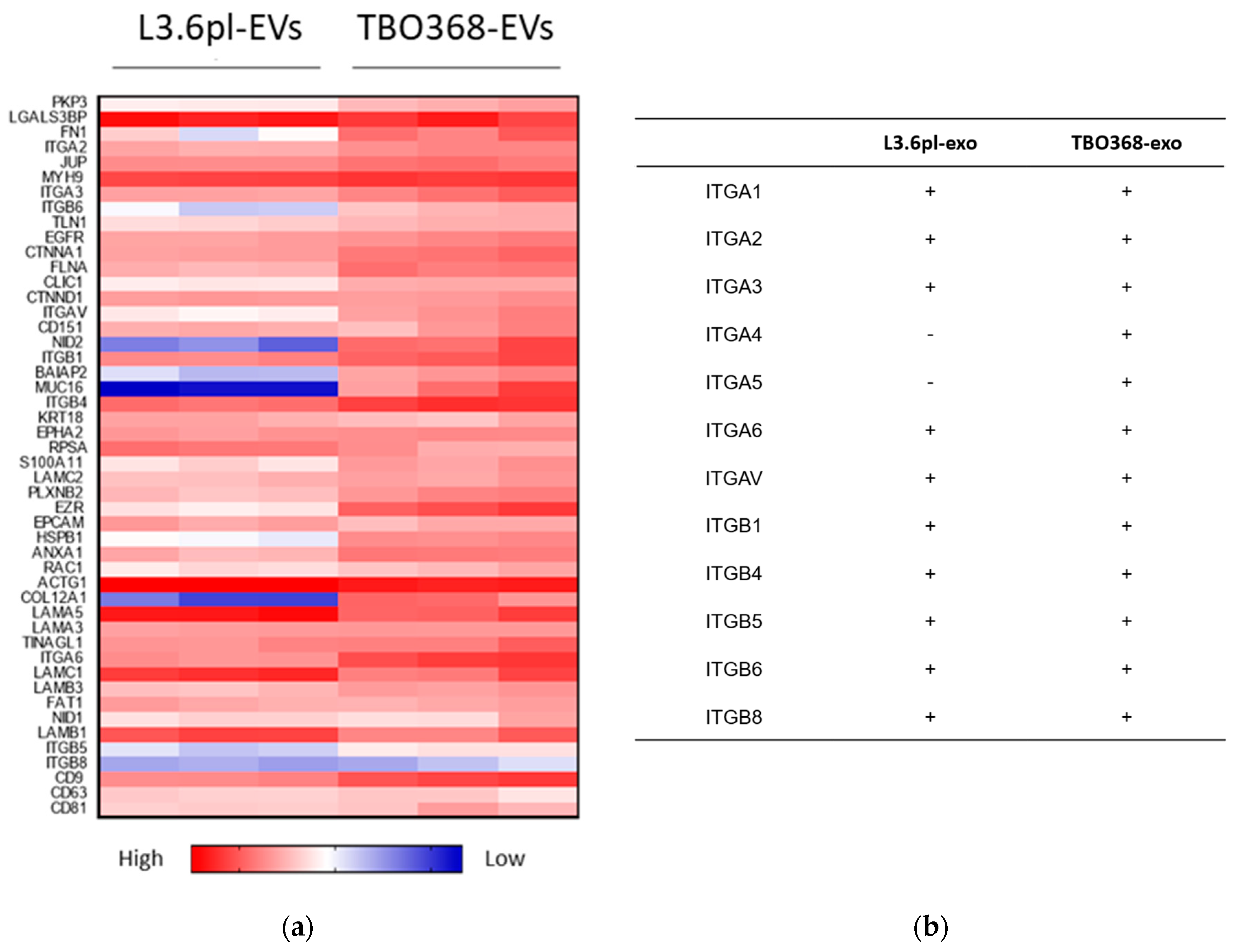 Cancers 11 00874 g003a