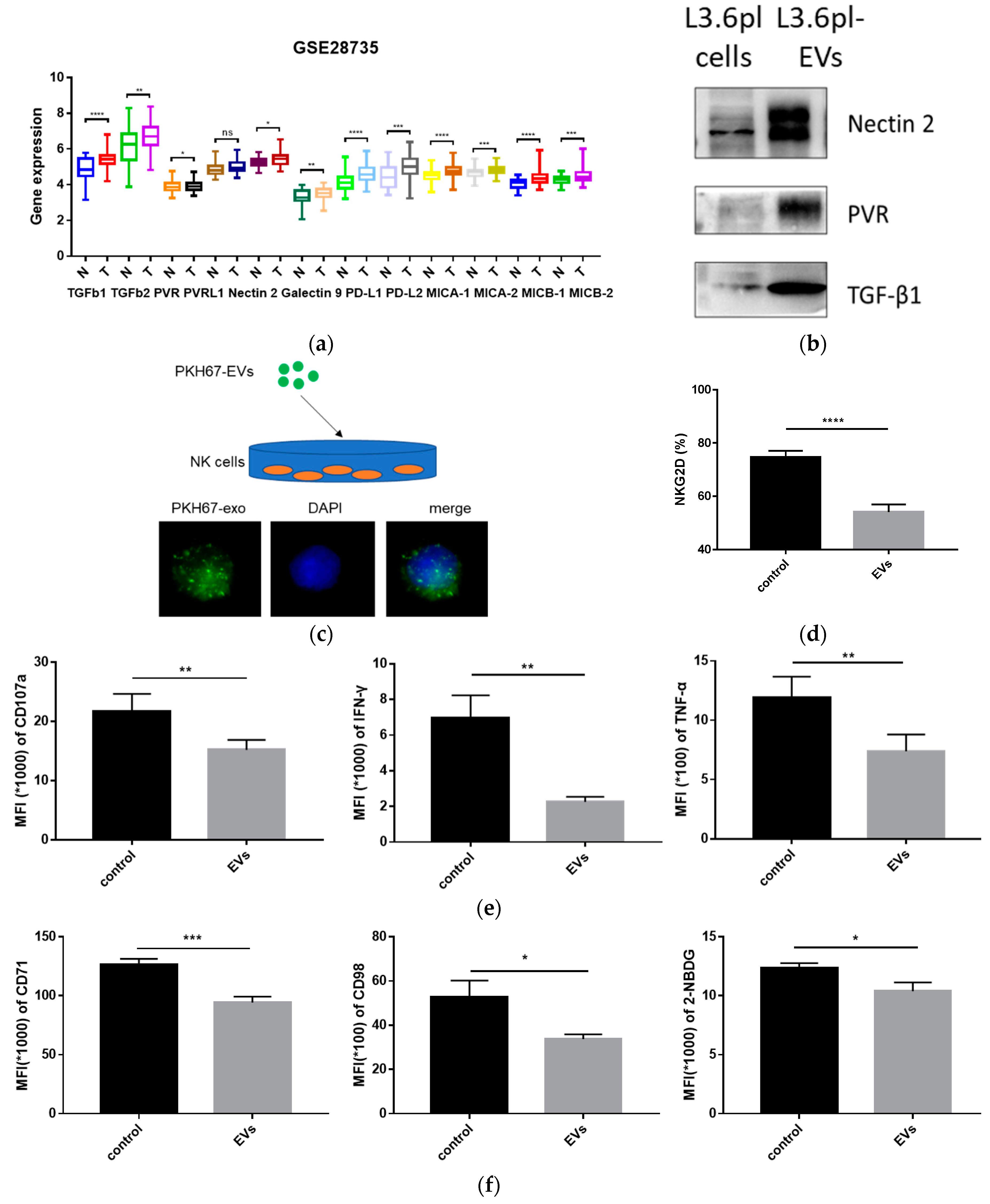 Cancers 11 00874 g004