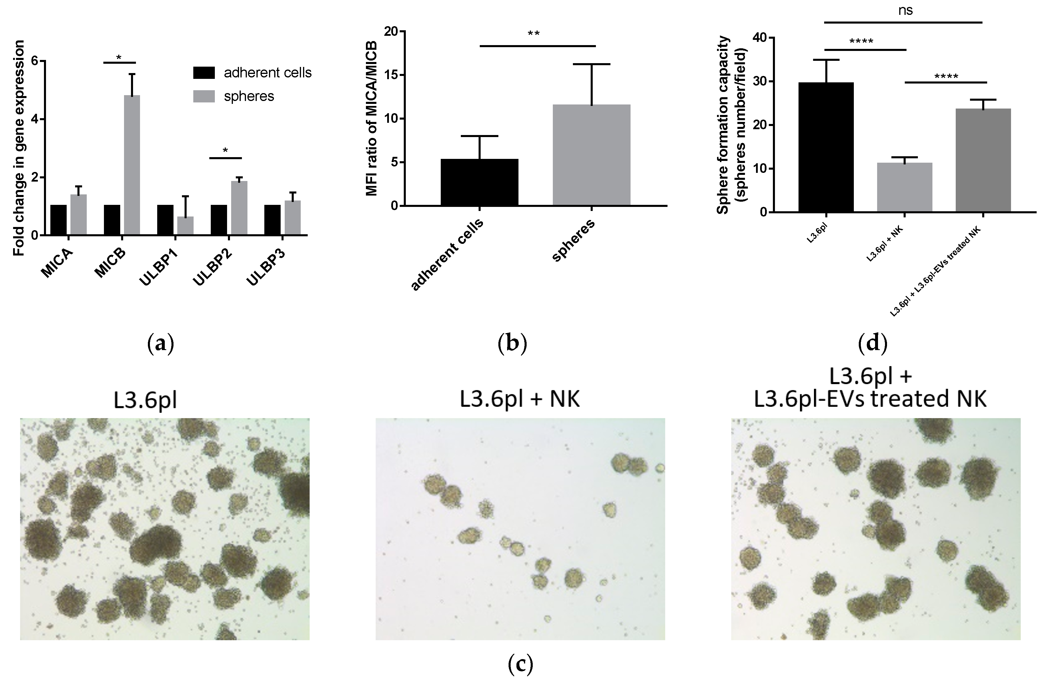 Cancers 11 00874 g005