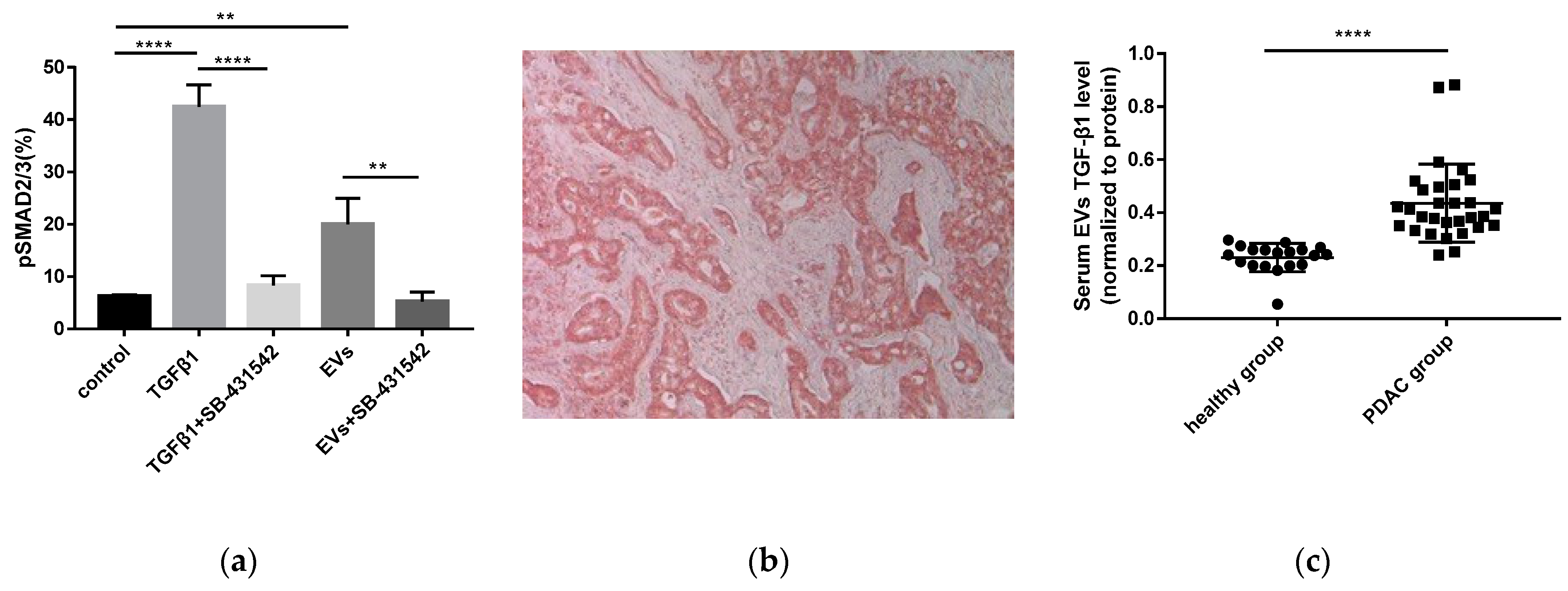 Cancers 11 00874 g006