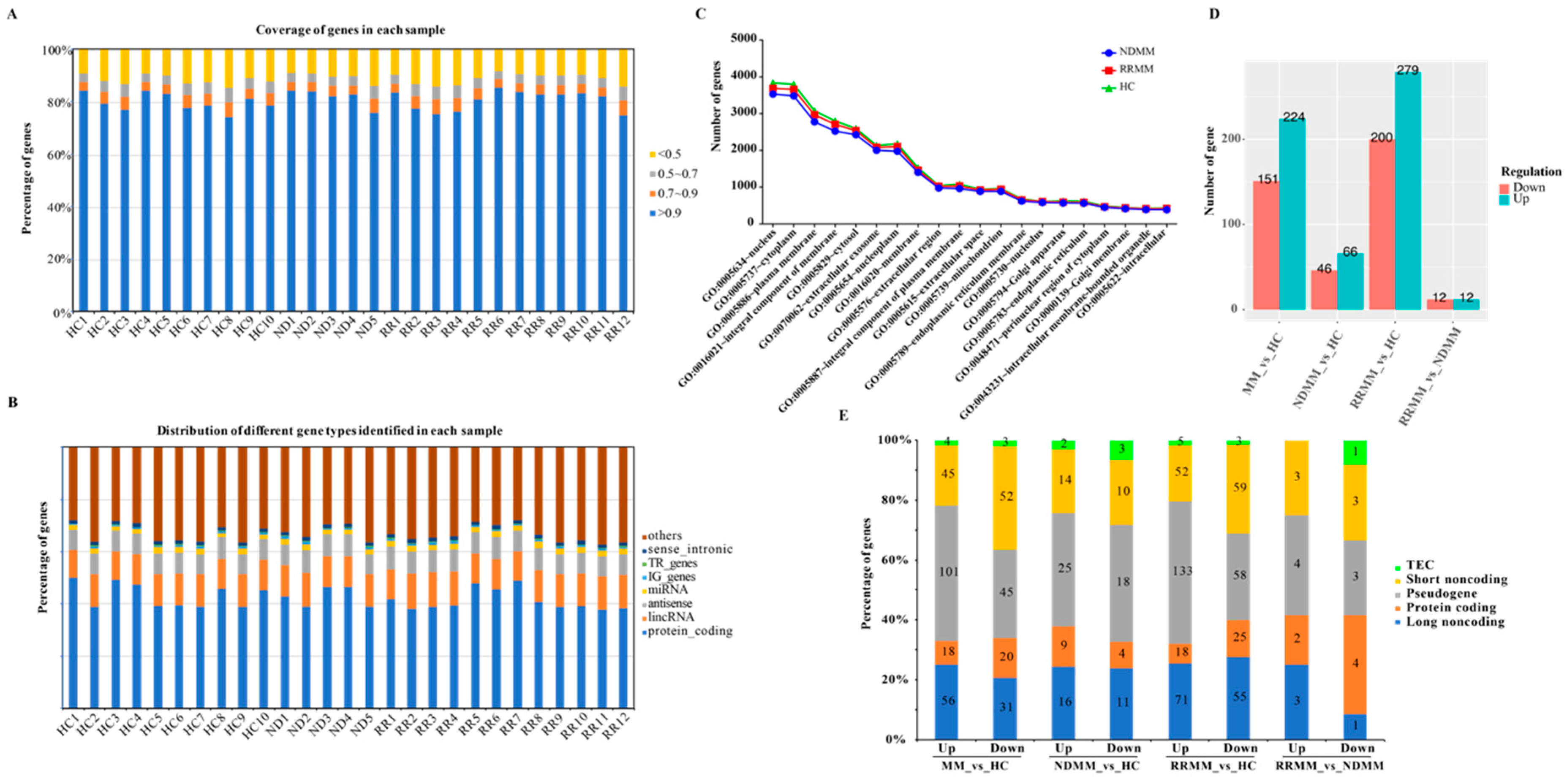 Cancers 11 00887 g001