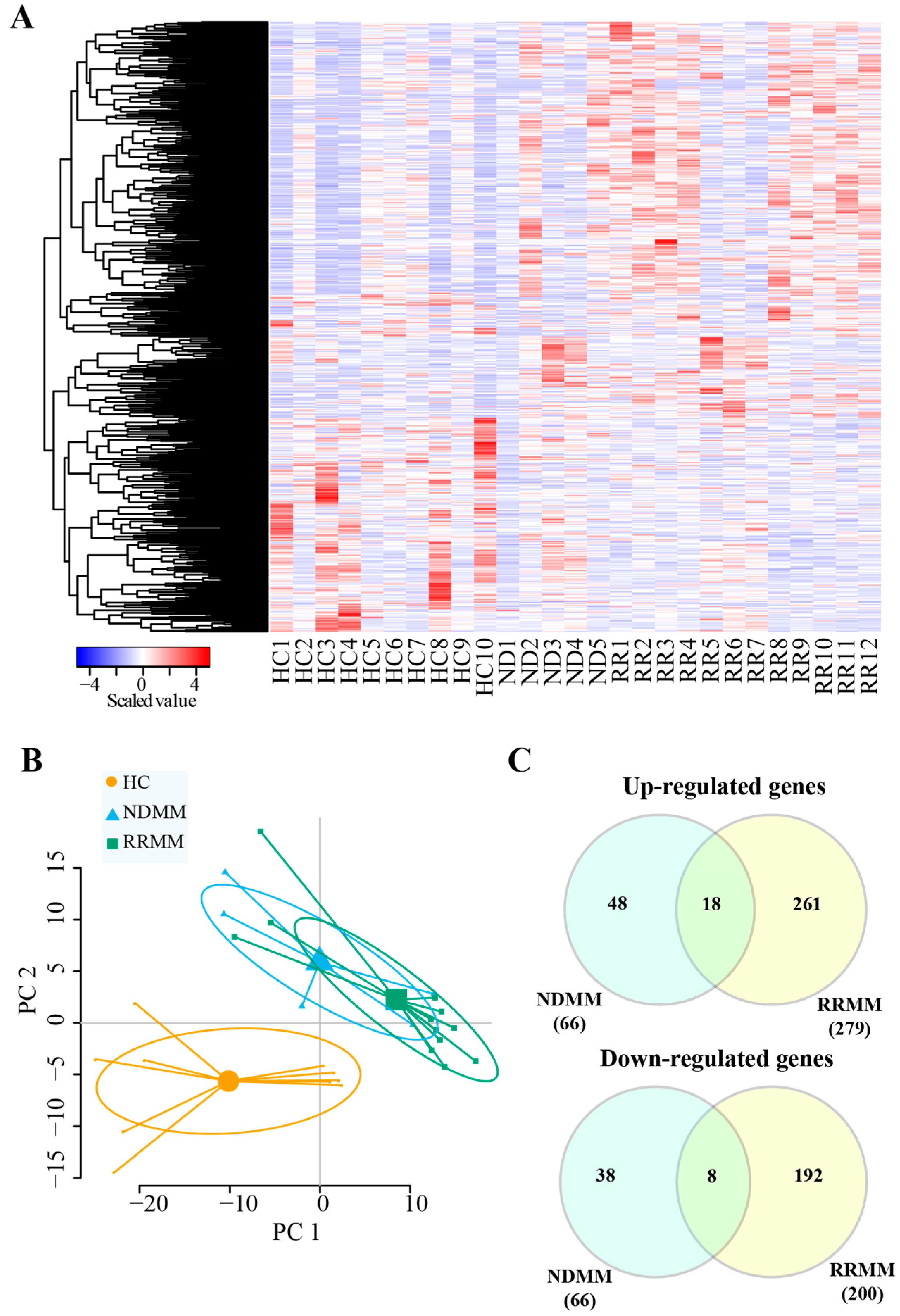 Cancers 11 00887 g002