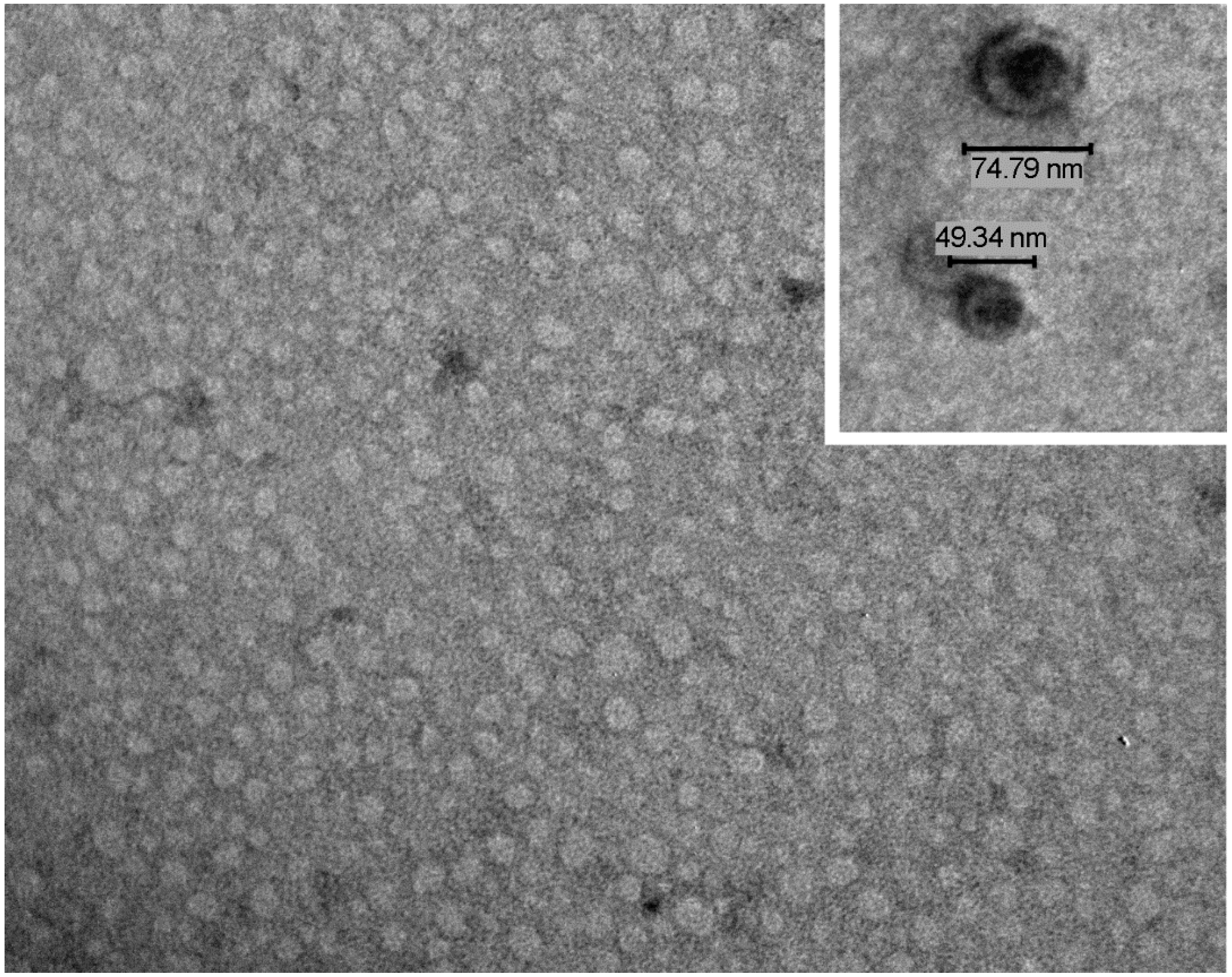 Cancers 11 00891 g001