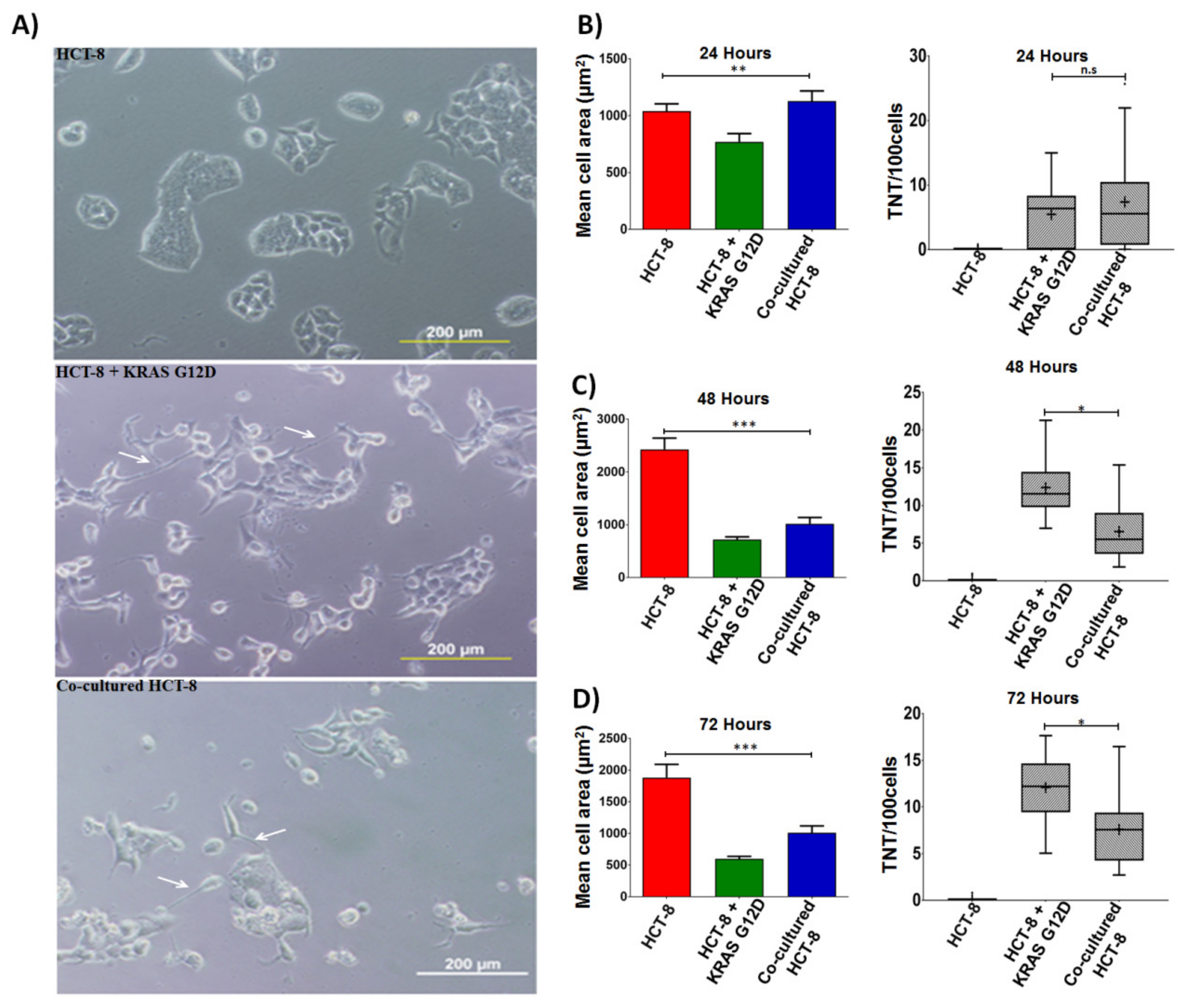Cancers 11 00892 g005