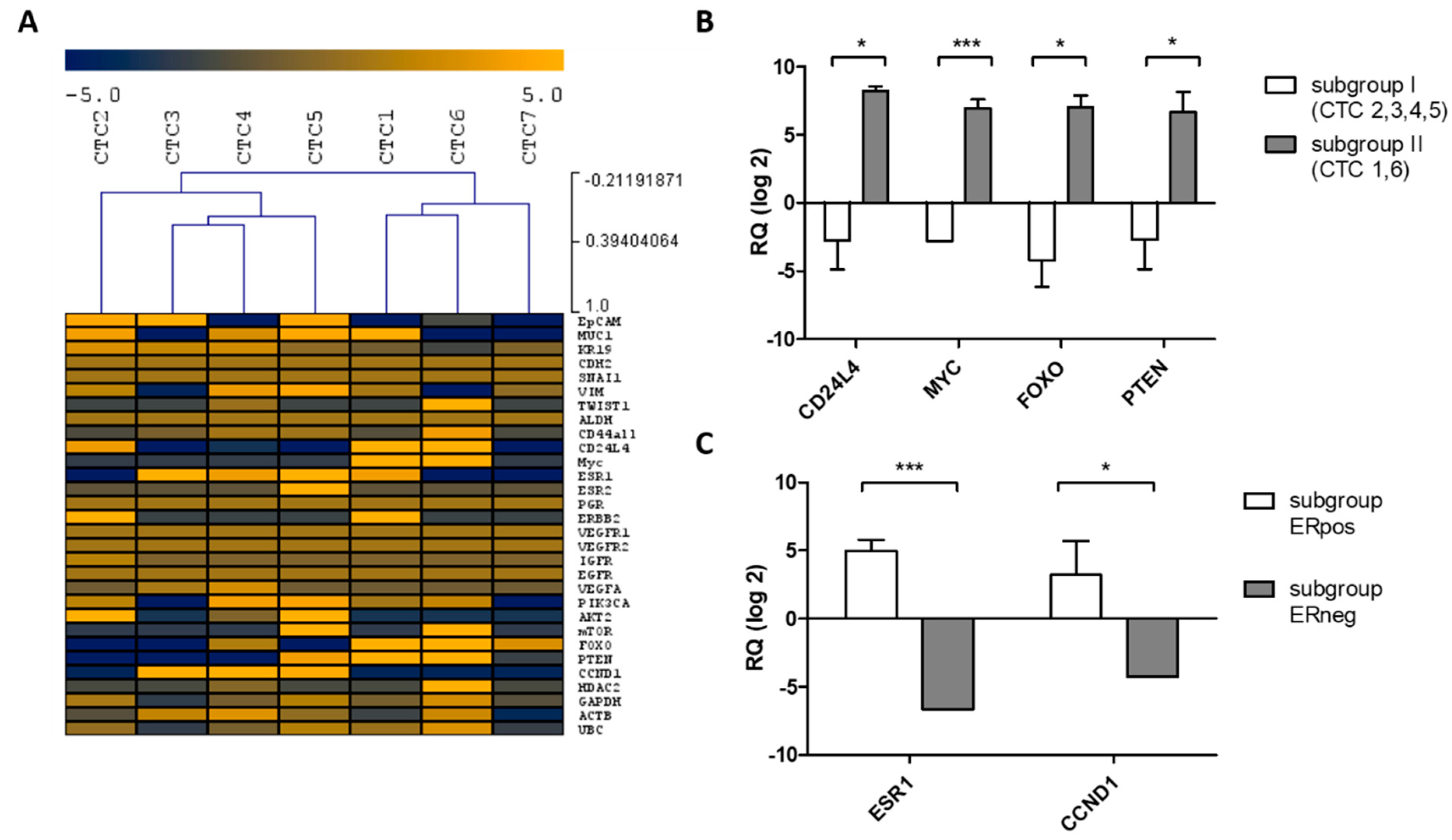 Cancers 11 00903 g004