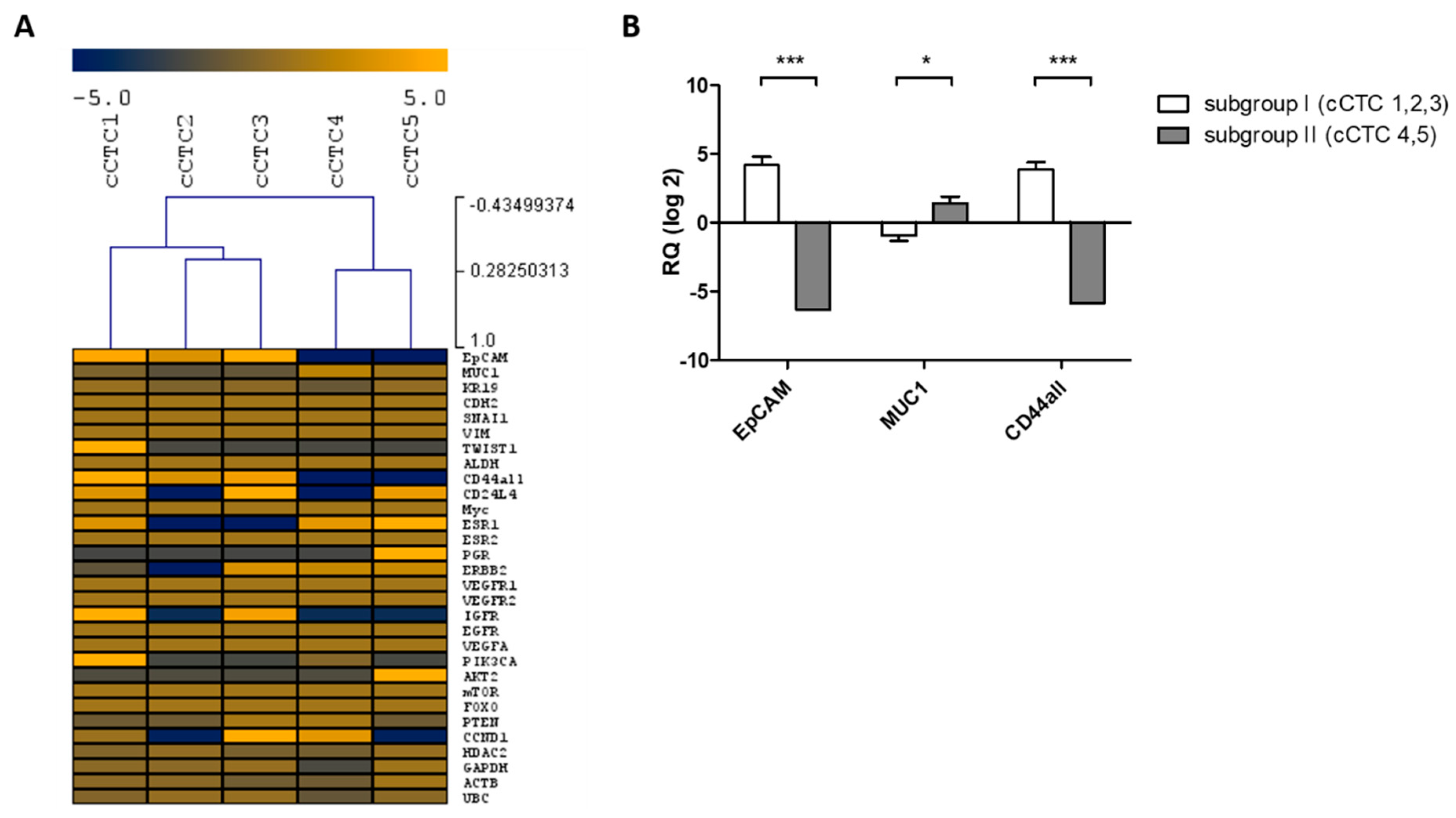 Cancers 11 00903 g005