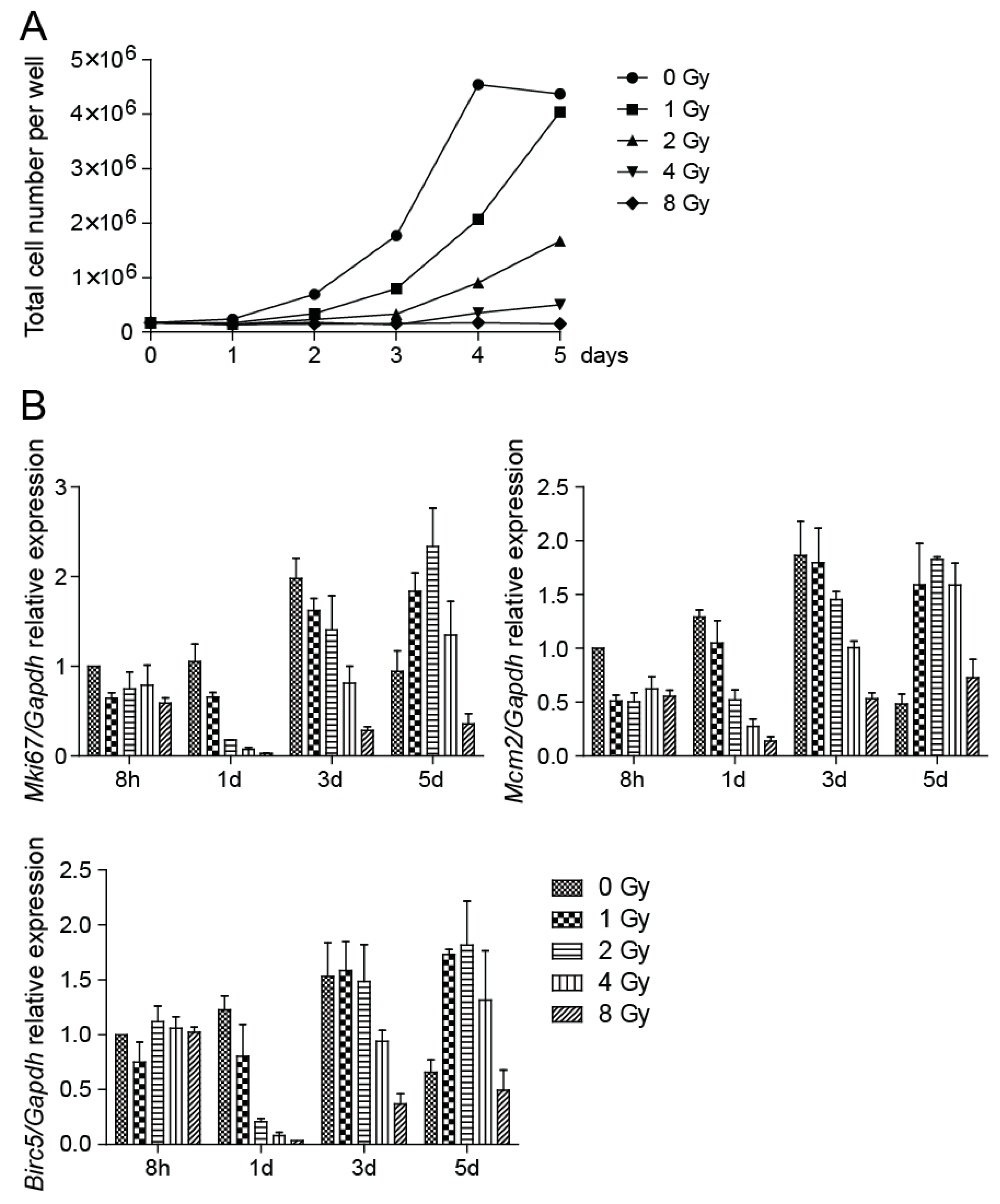 Cancers 11 00913 g003