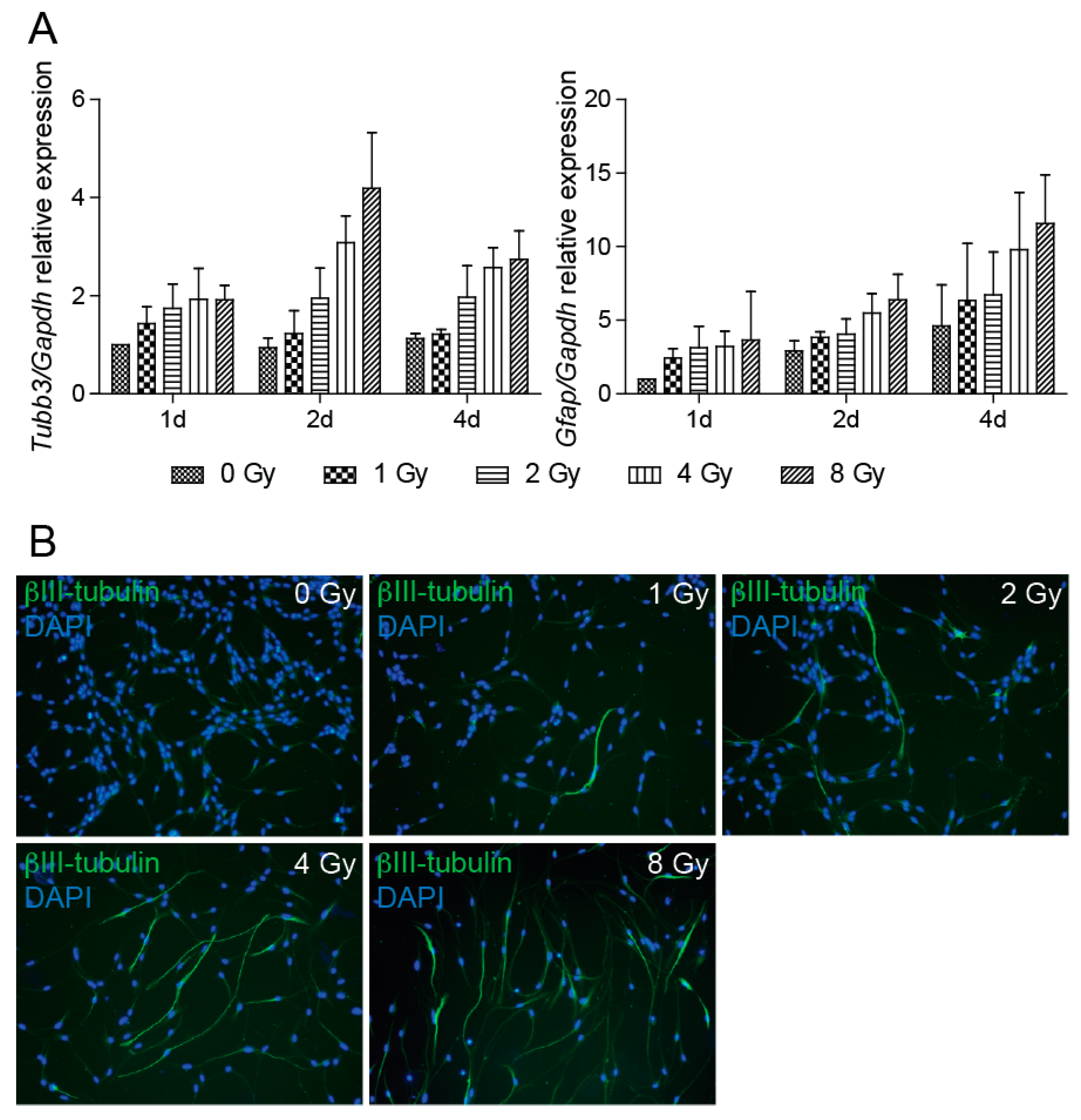 Cancers 11 00913 g005
