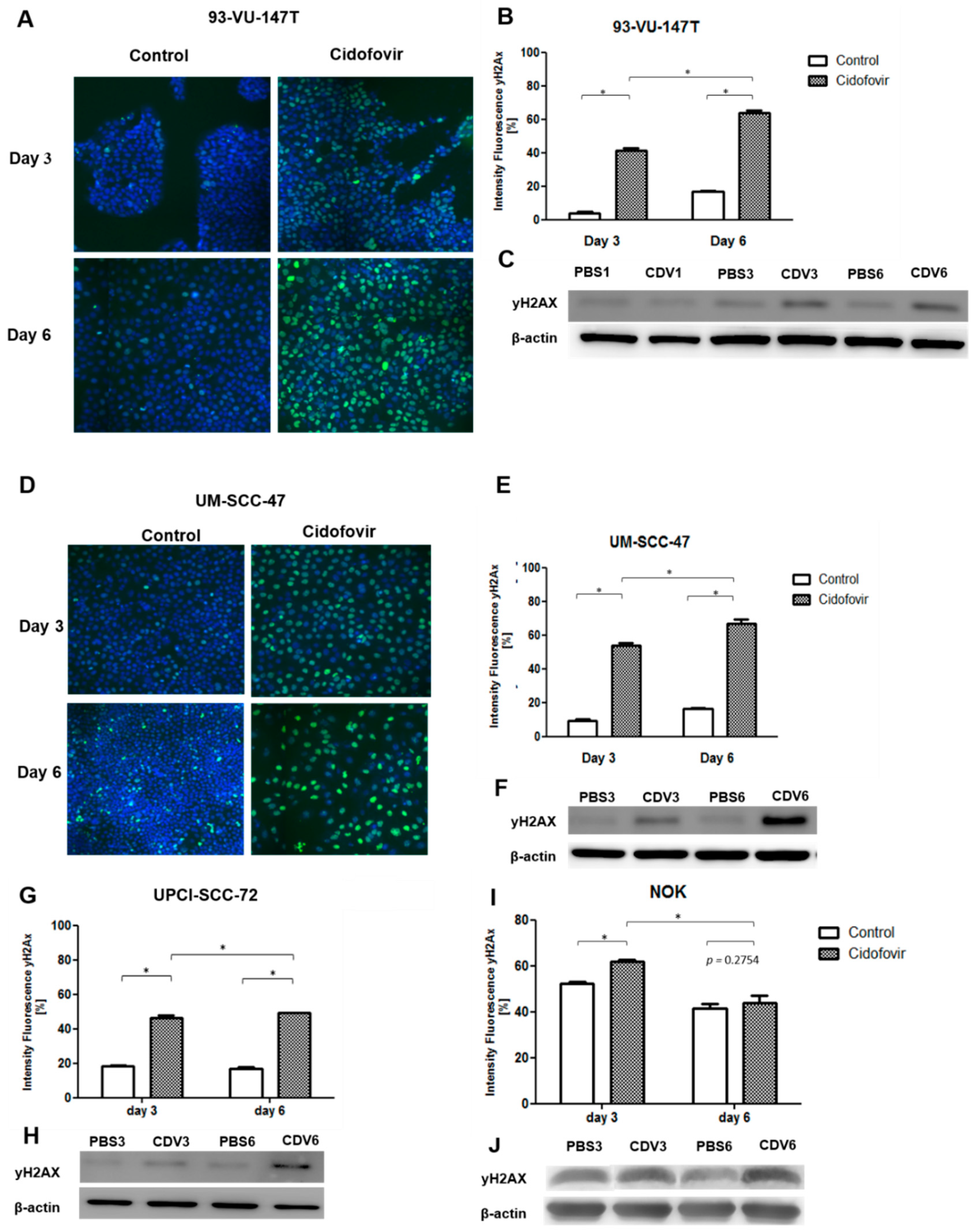 Cancers 11 00919 g002 Cancers 11 00919 g002