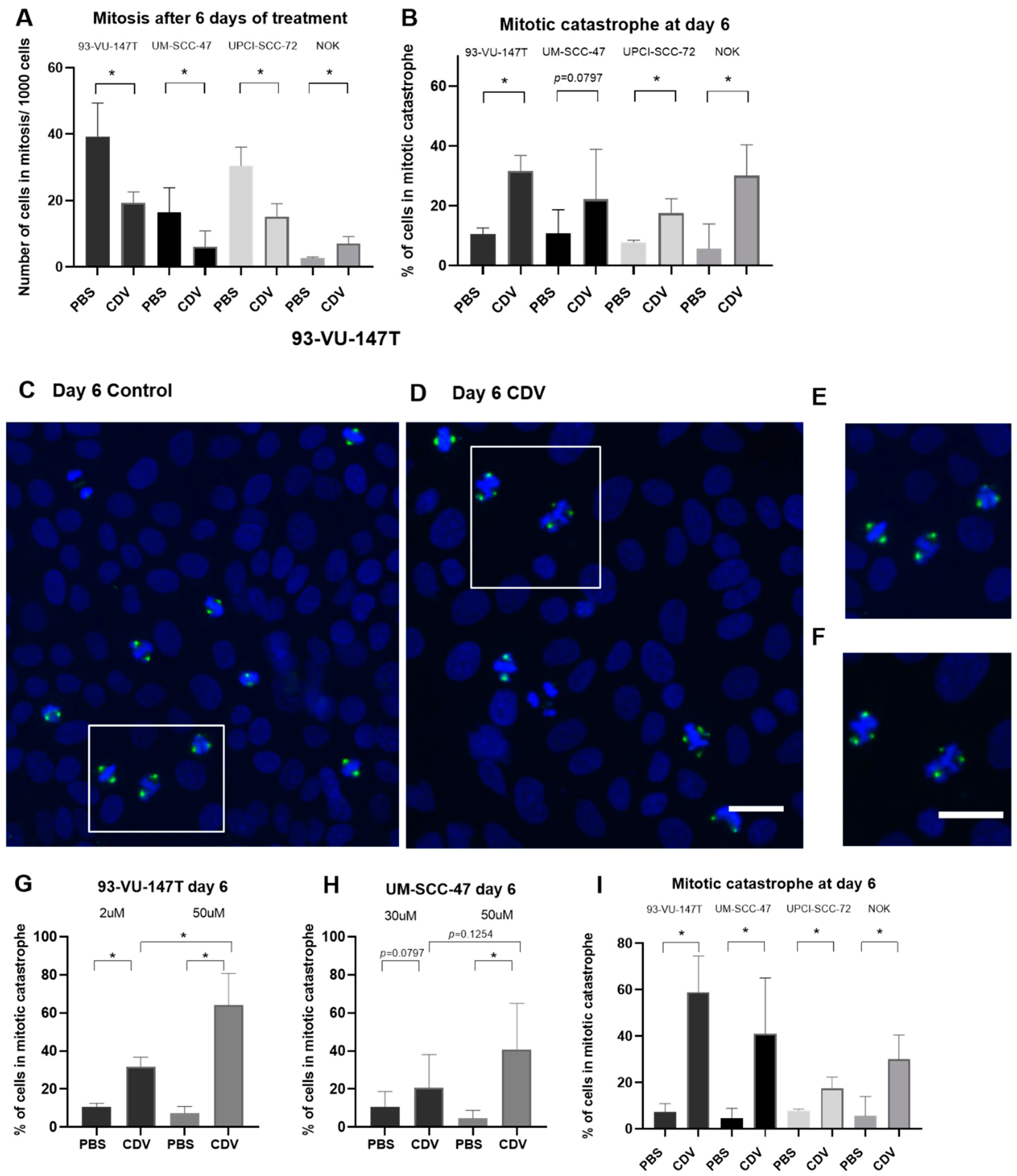 Cancers 11 00919 g007 Cancers 11 00919 g007