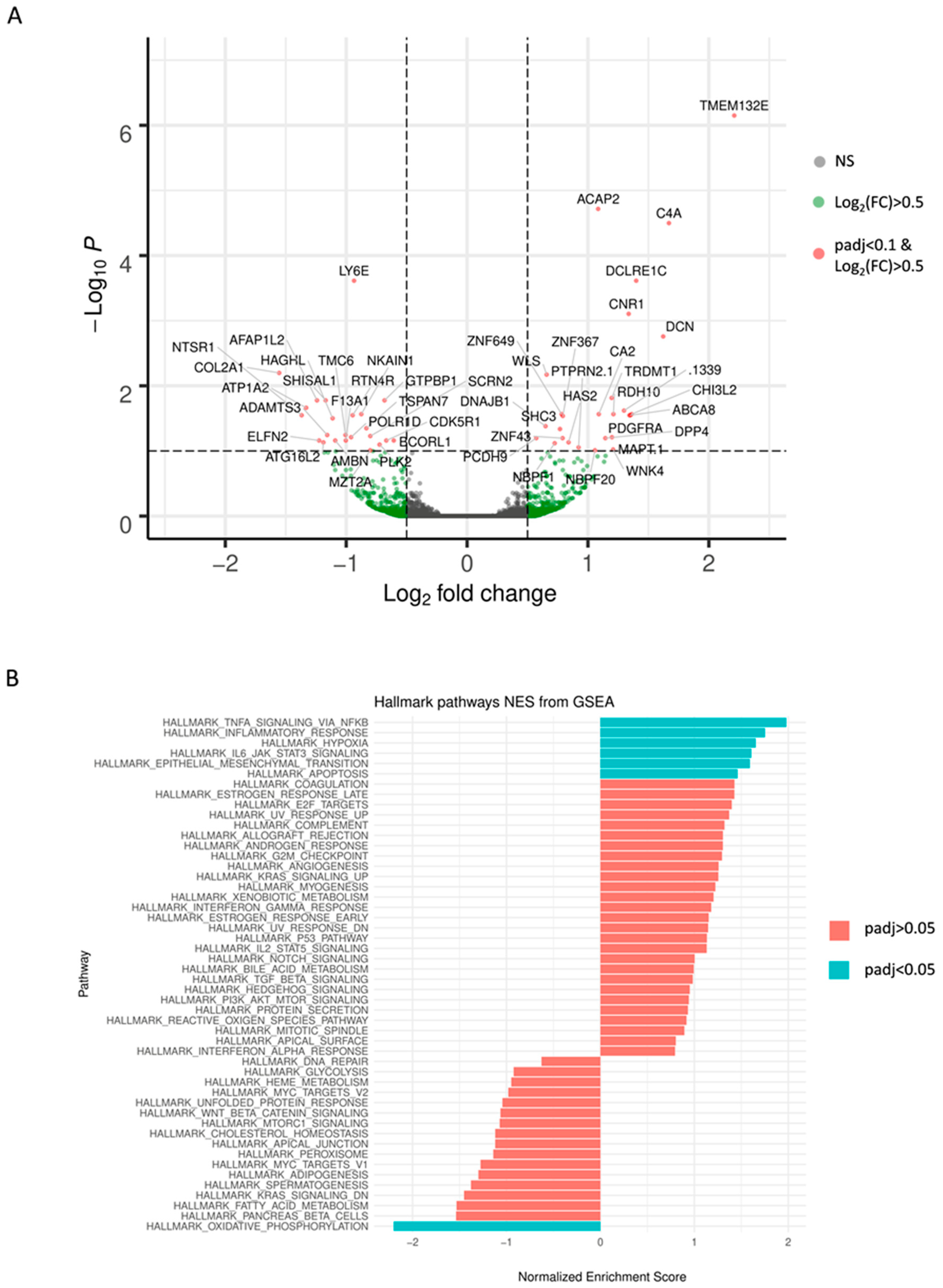 Cancers 11 00921 g003