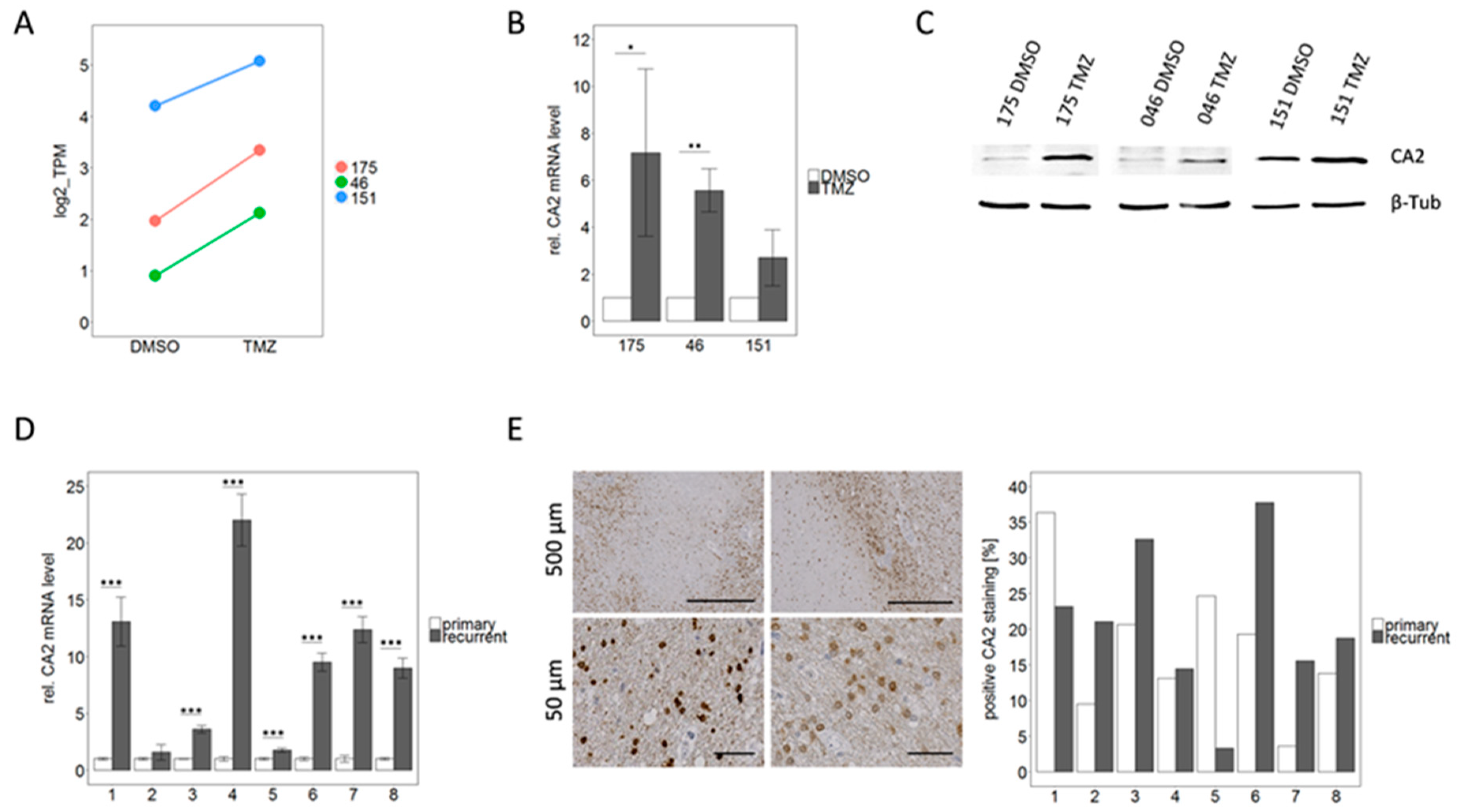 Cancers 11 00921 g005