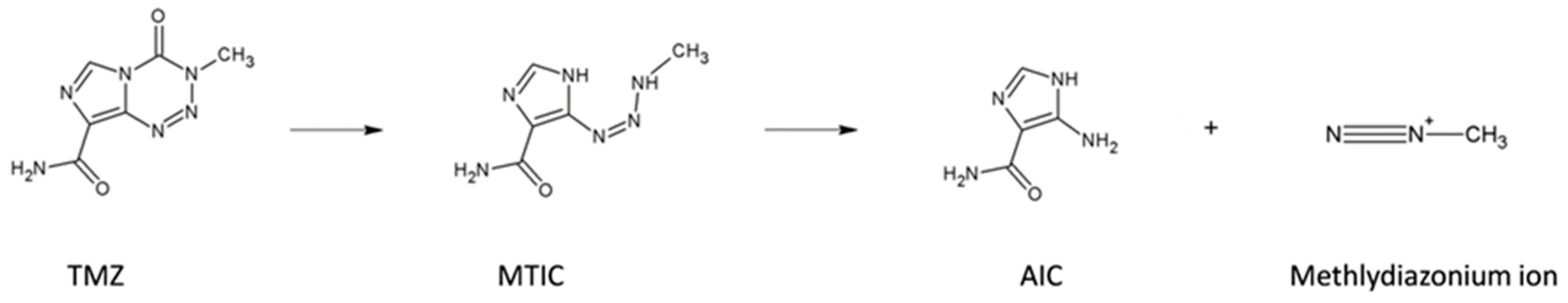 Cancers 11 00921 g008