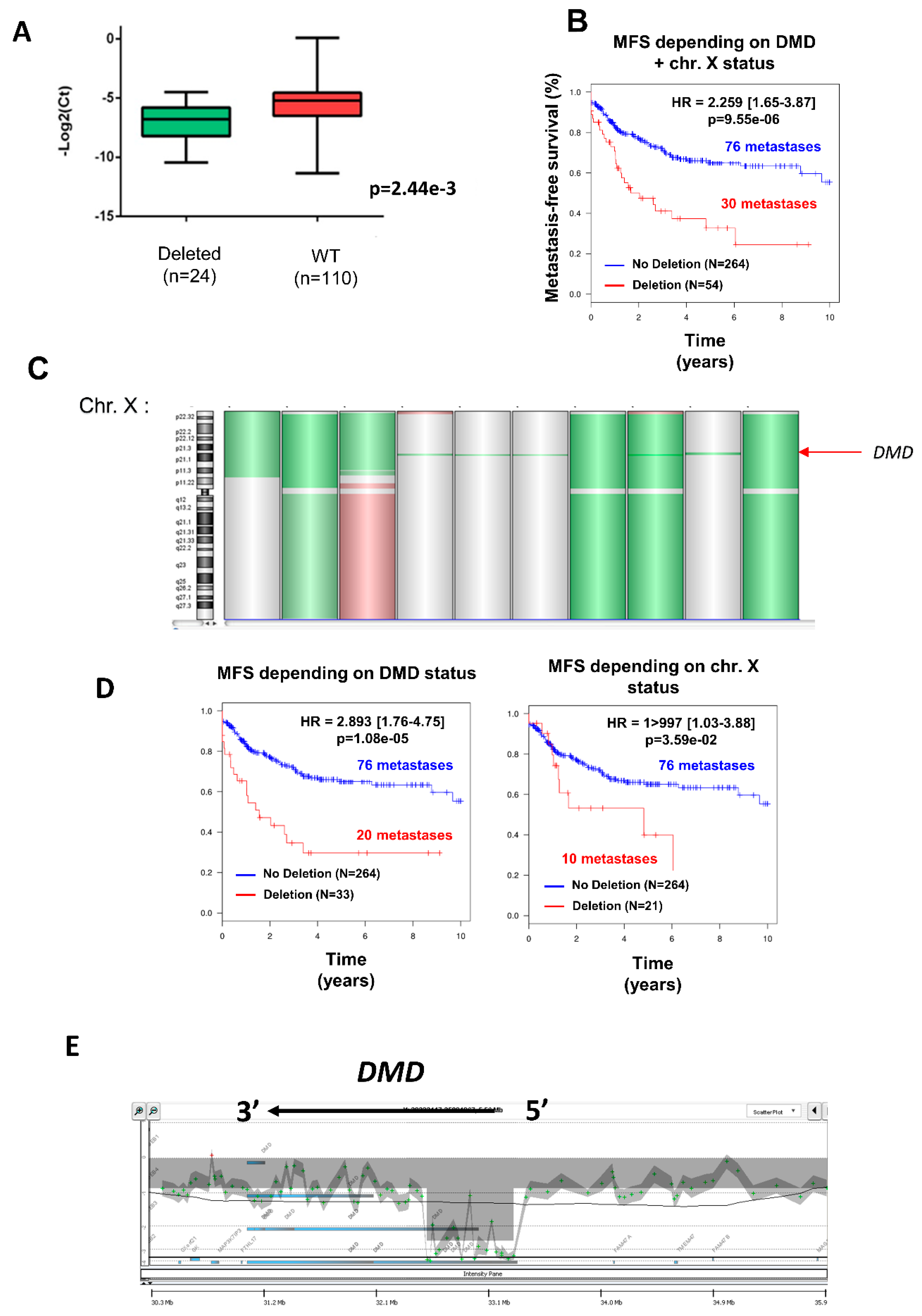 Cancers 11 00922 g001