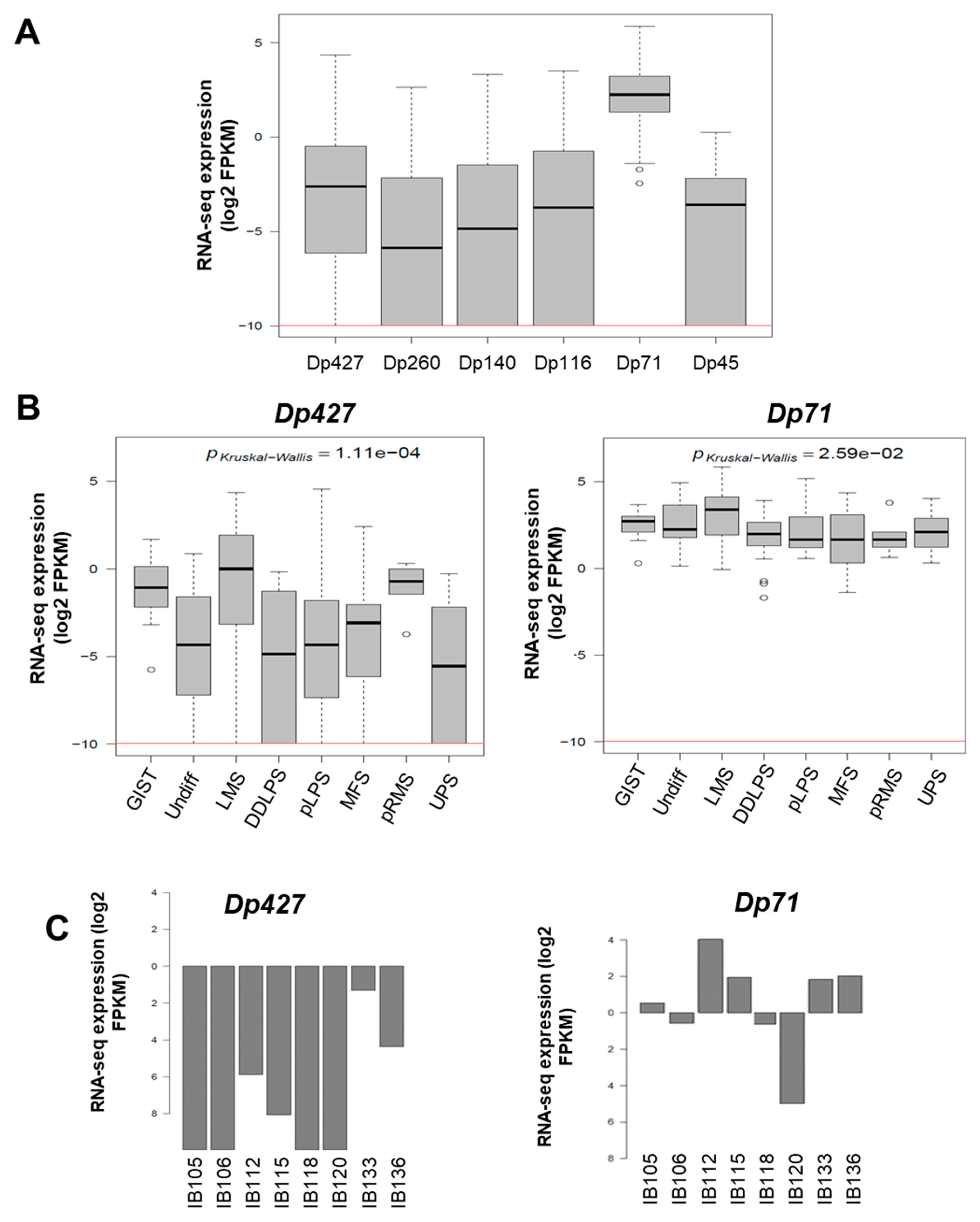 Cancers 11 00922 g002a
