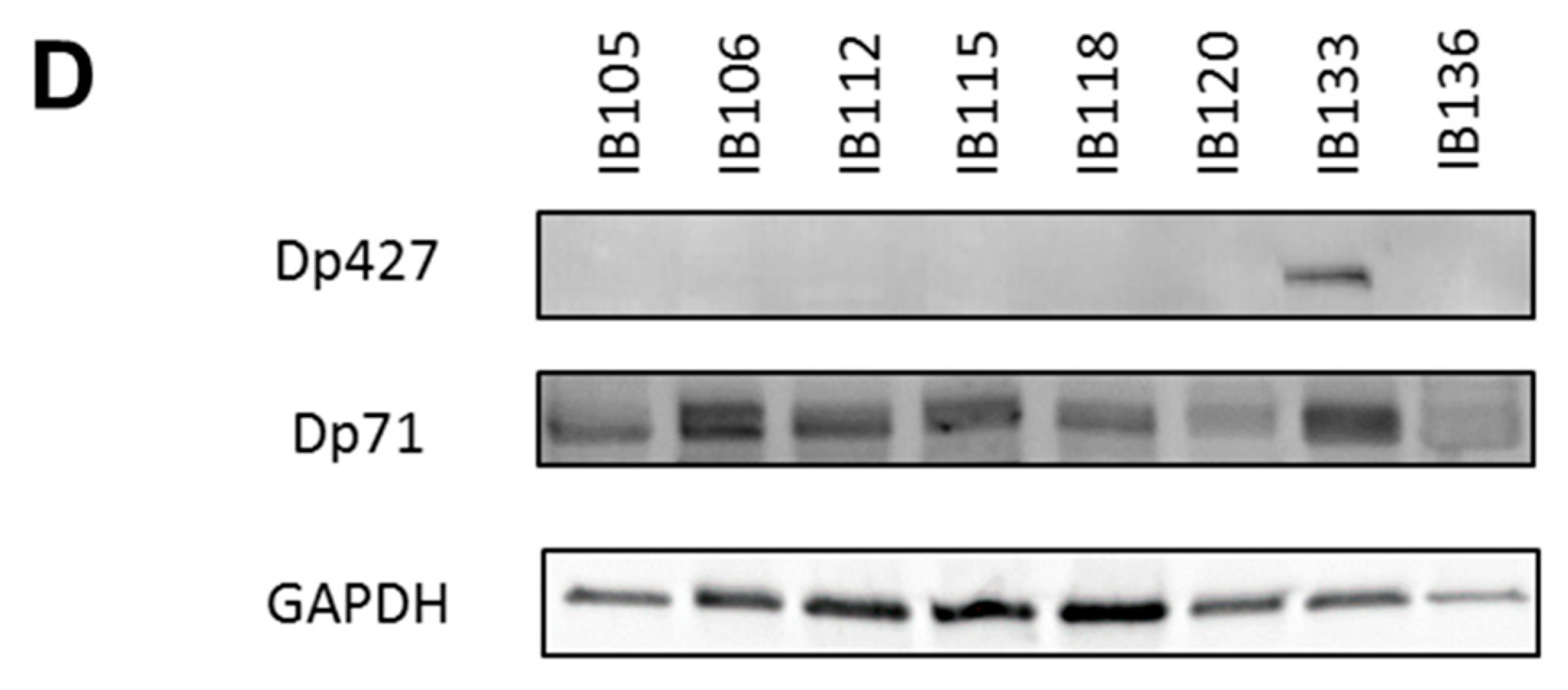 Cancers 11 00922 g002b