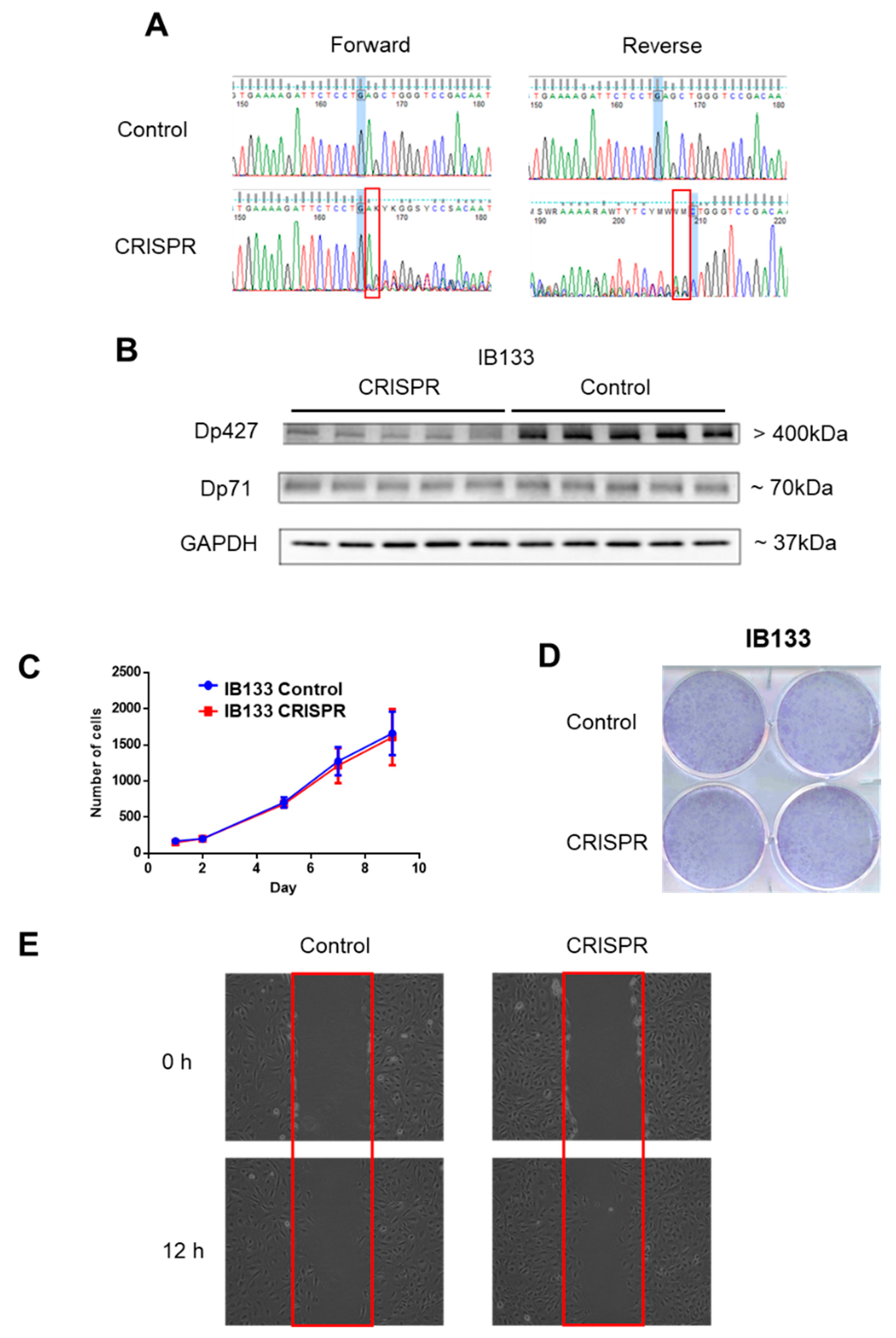 Cancers 11 00922 g003