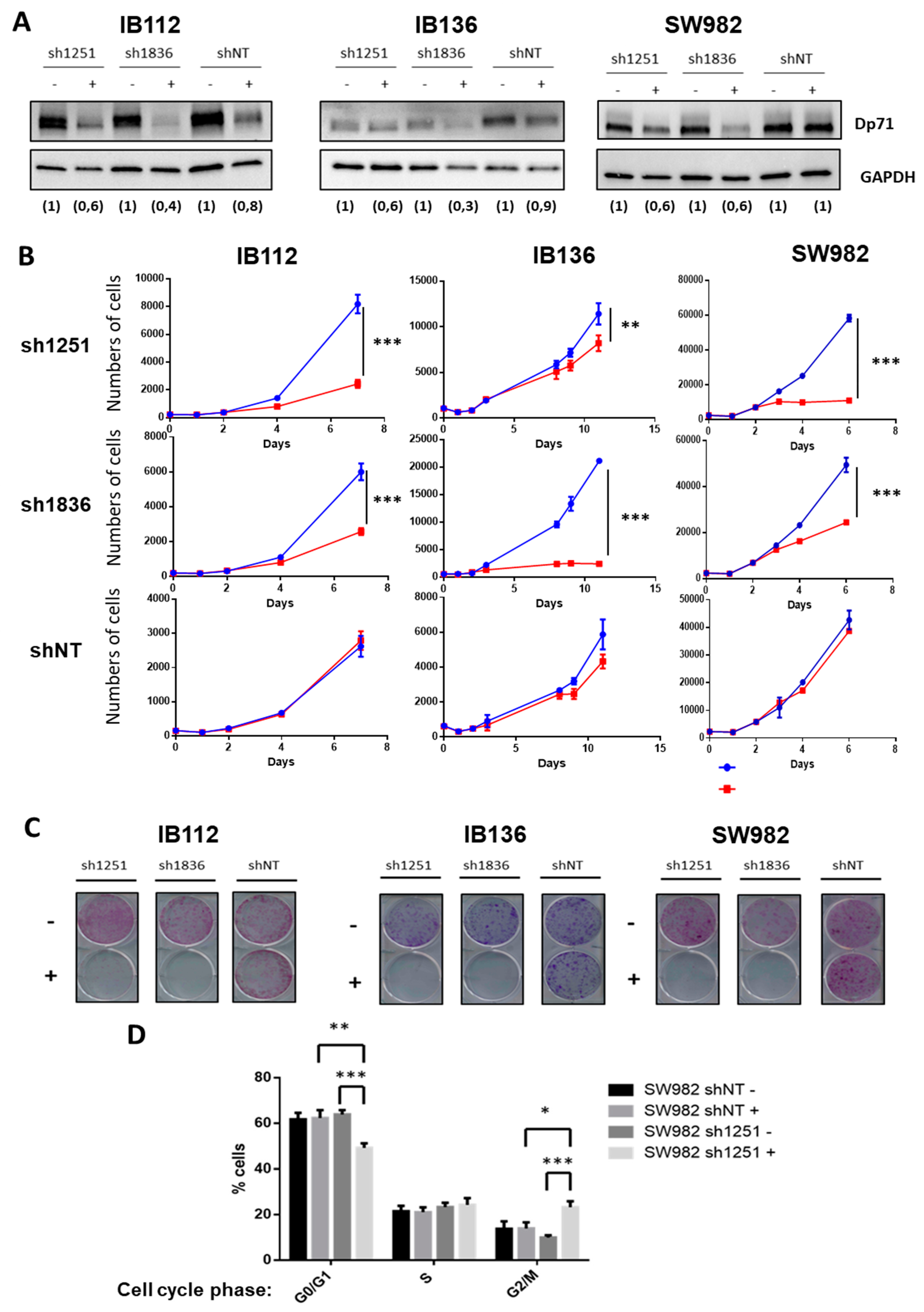 Cancers 11 00922 g004