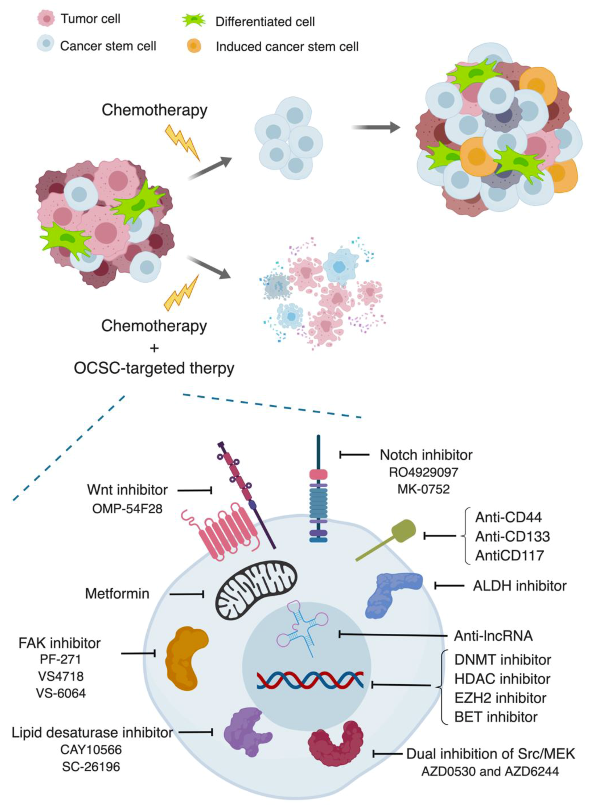 Cancers 11 00934 g002 Cancers 11 00934 g002
