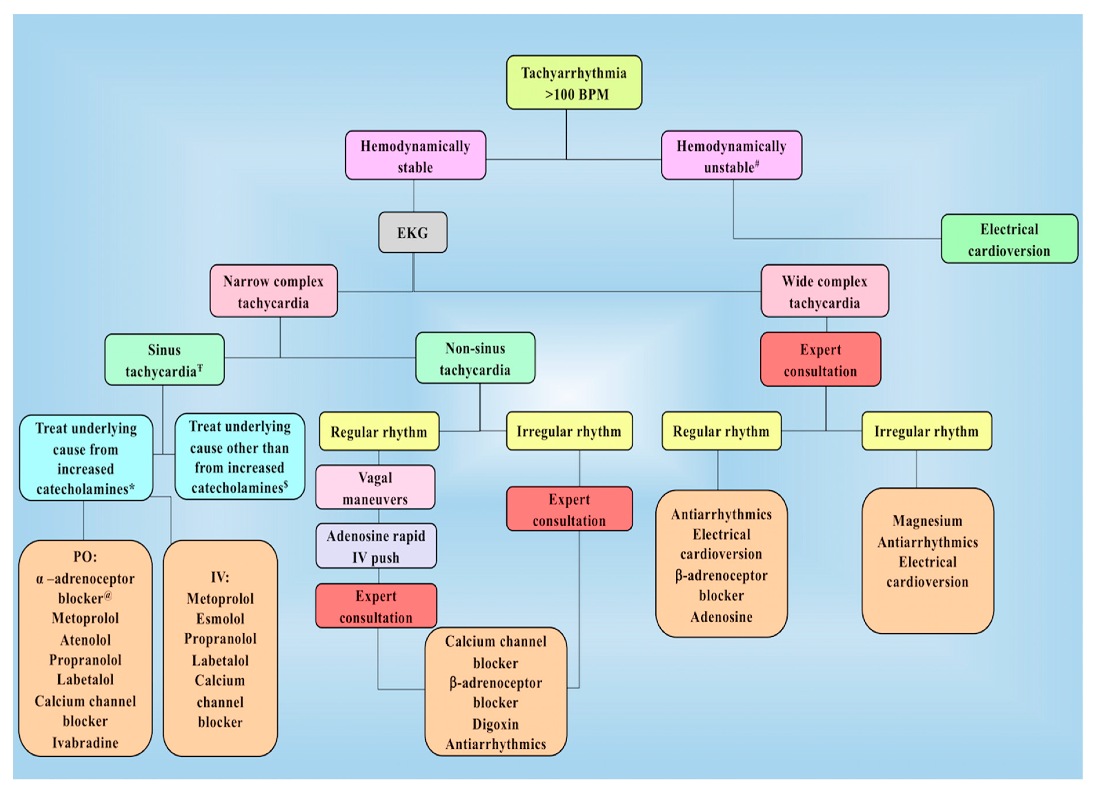 Cancers 11 00936 g003