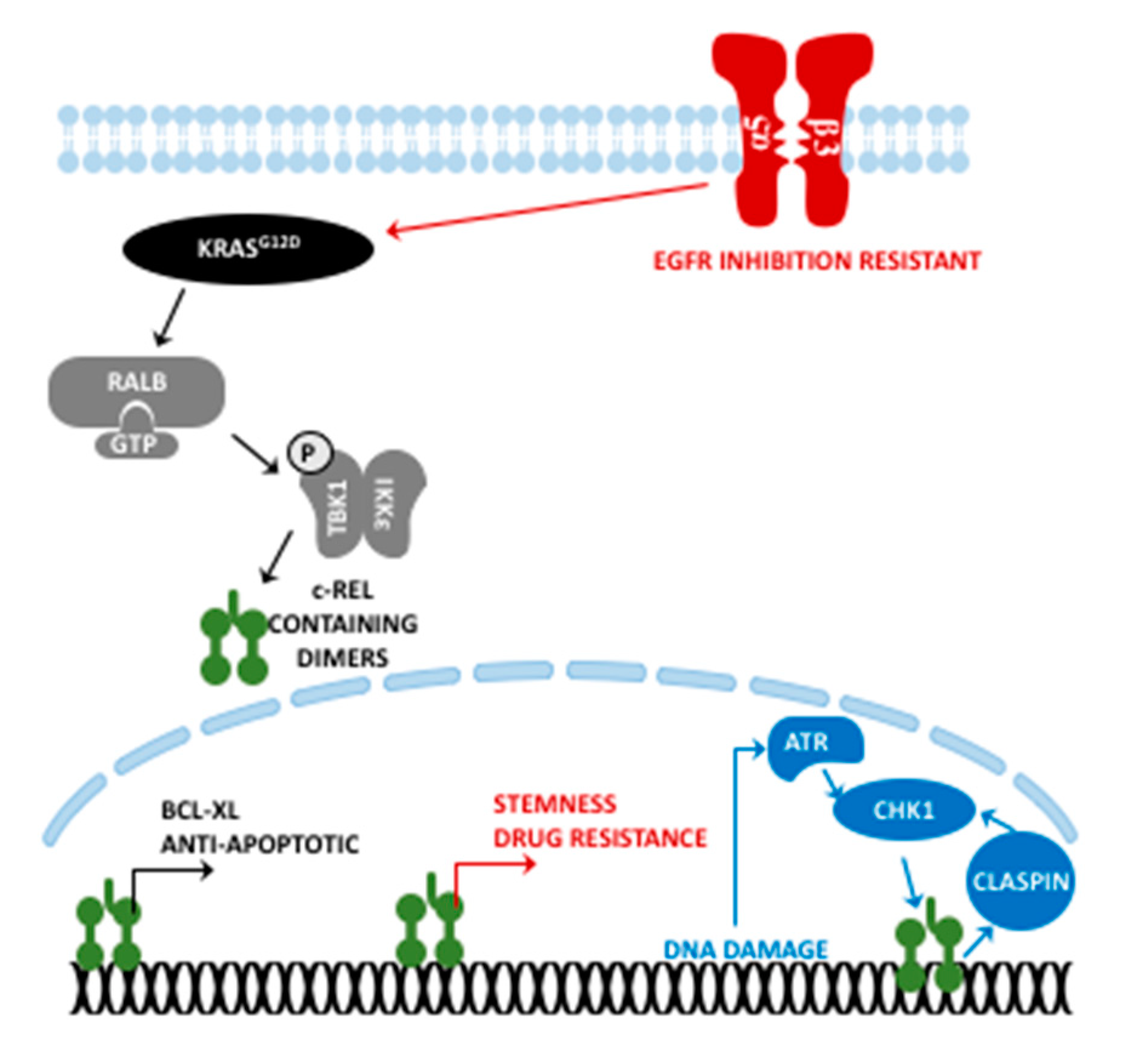 Cancers 11 00937 g002