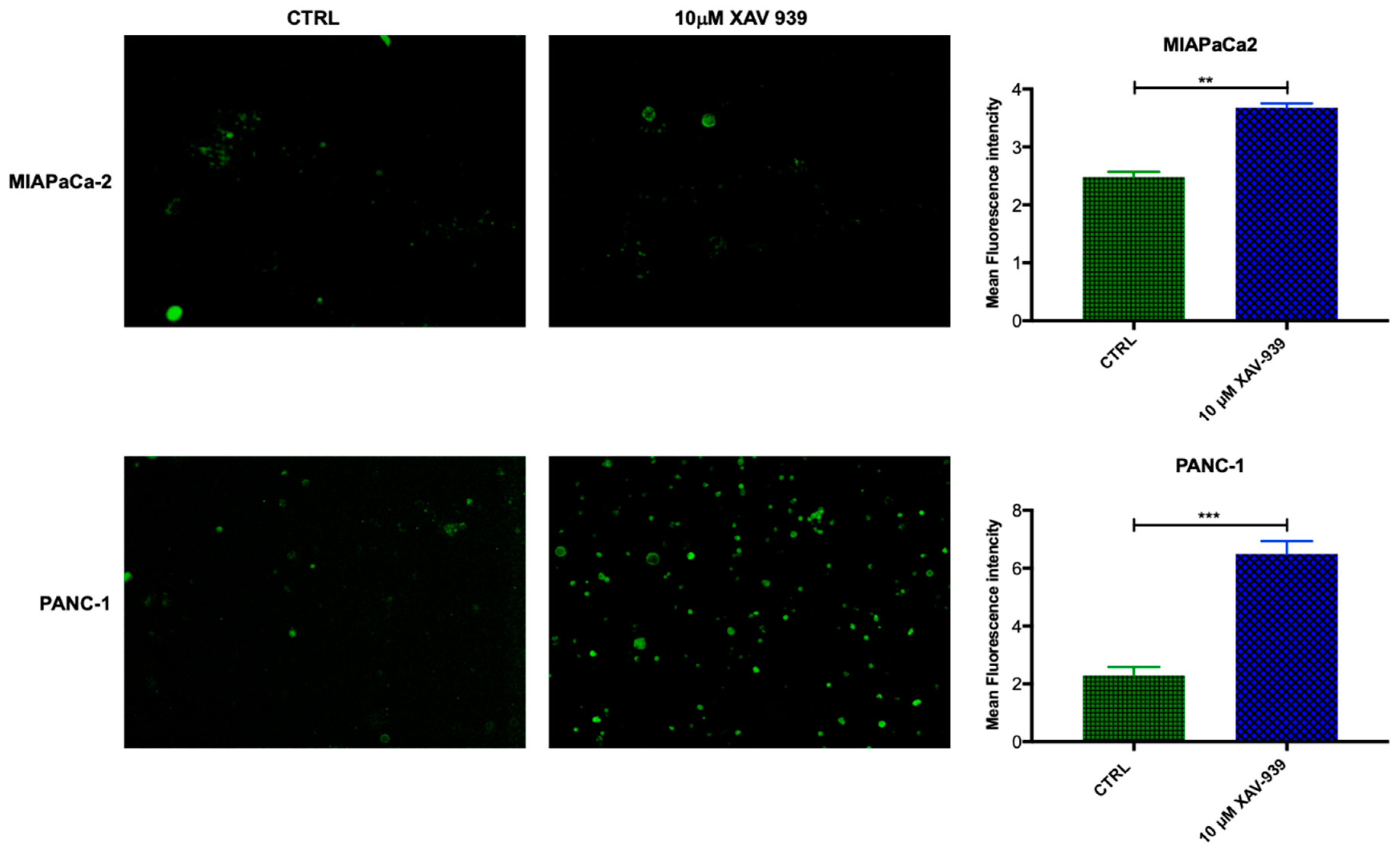 Cancers 11 00942 g009