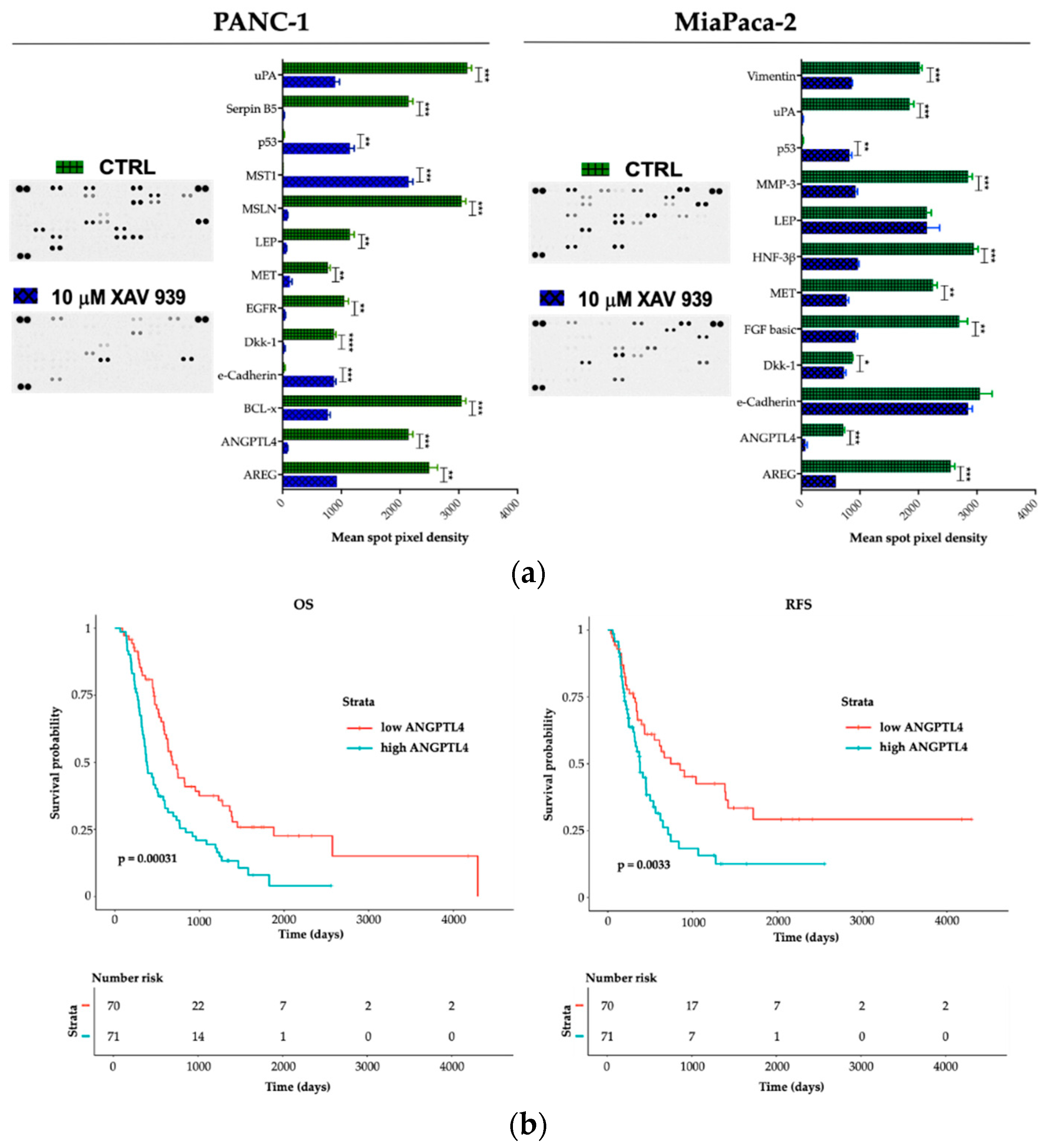 Cancers 11 00942 g010