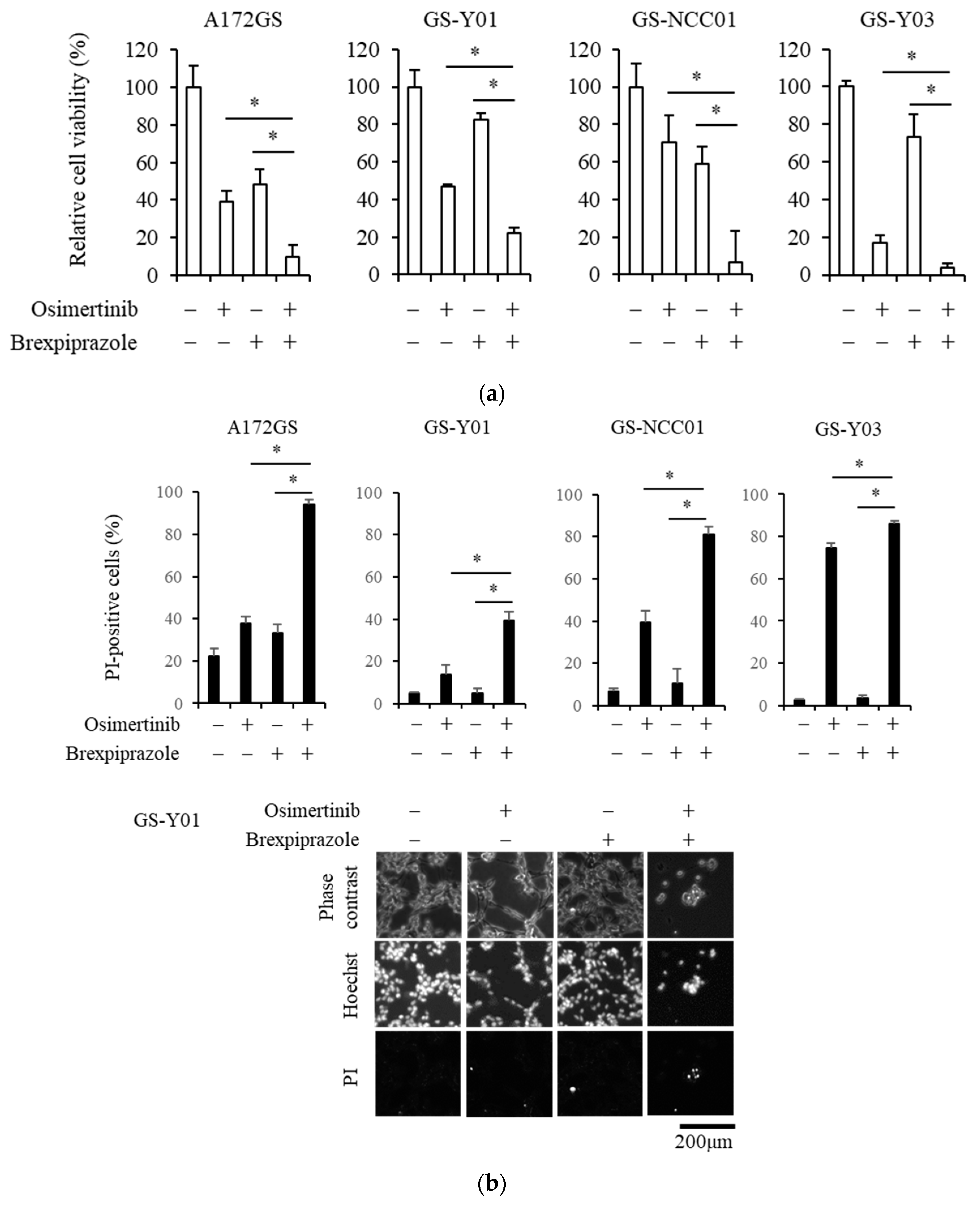 Cancers 11 00947 g001a Cancers 11 00947 g001a