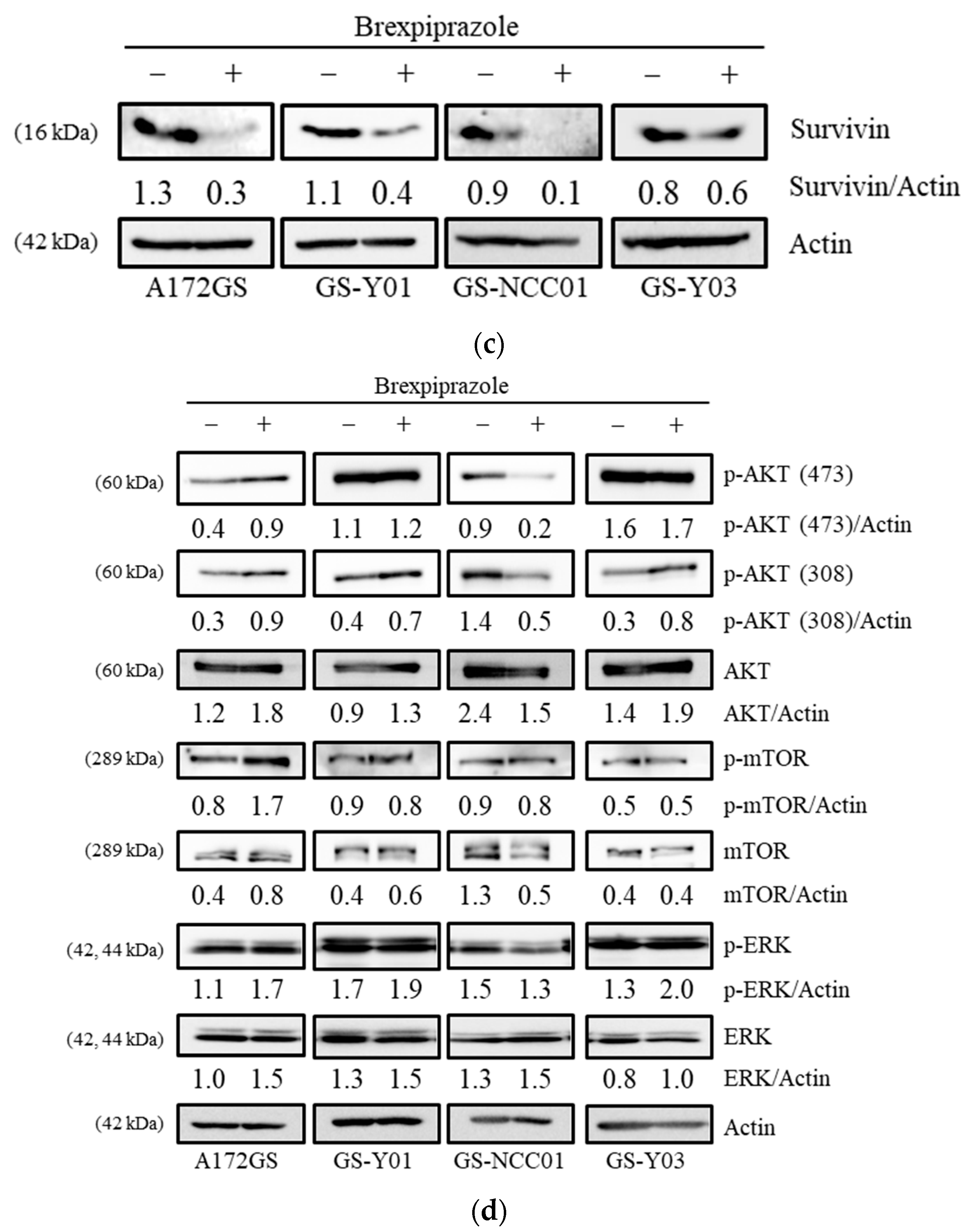 Cancers 11 00947 g001b Cancers 11 00947 g001b