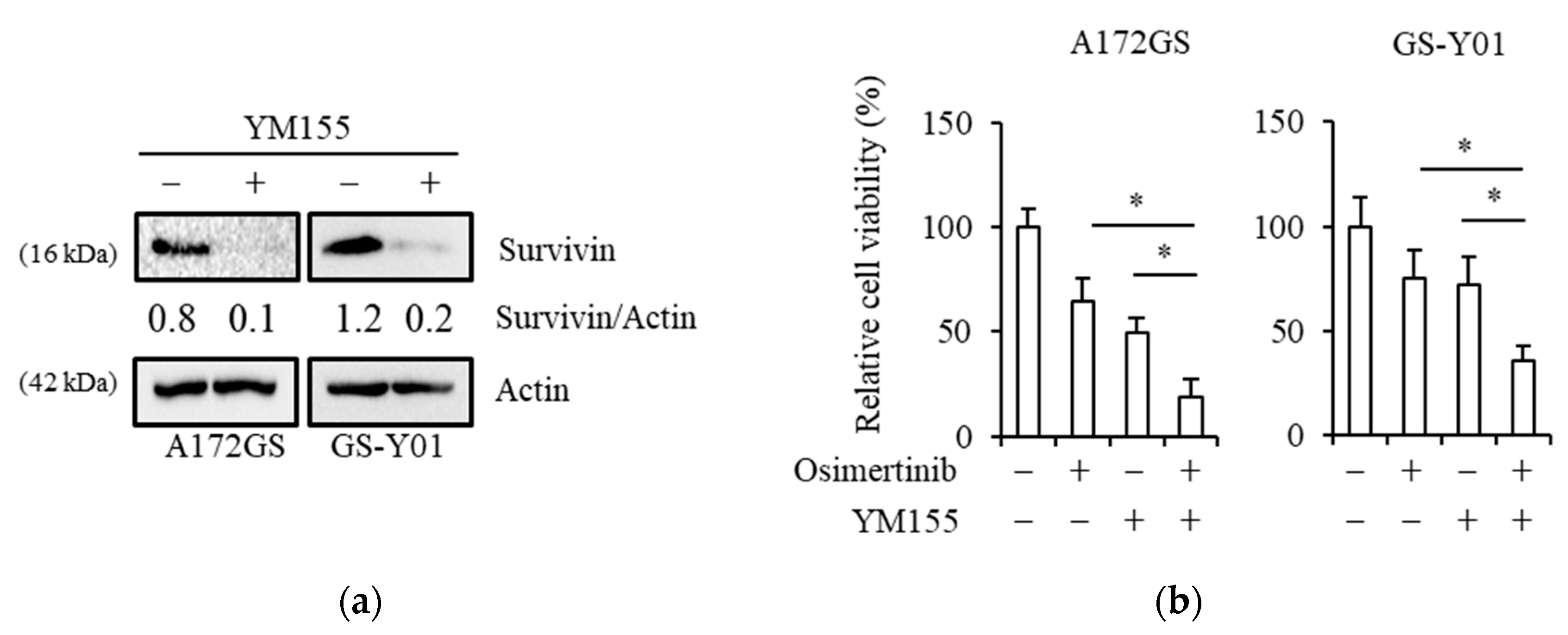 Cancers 11 00947 g002 Cancers 11 00947 g002