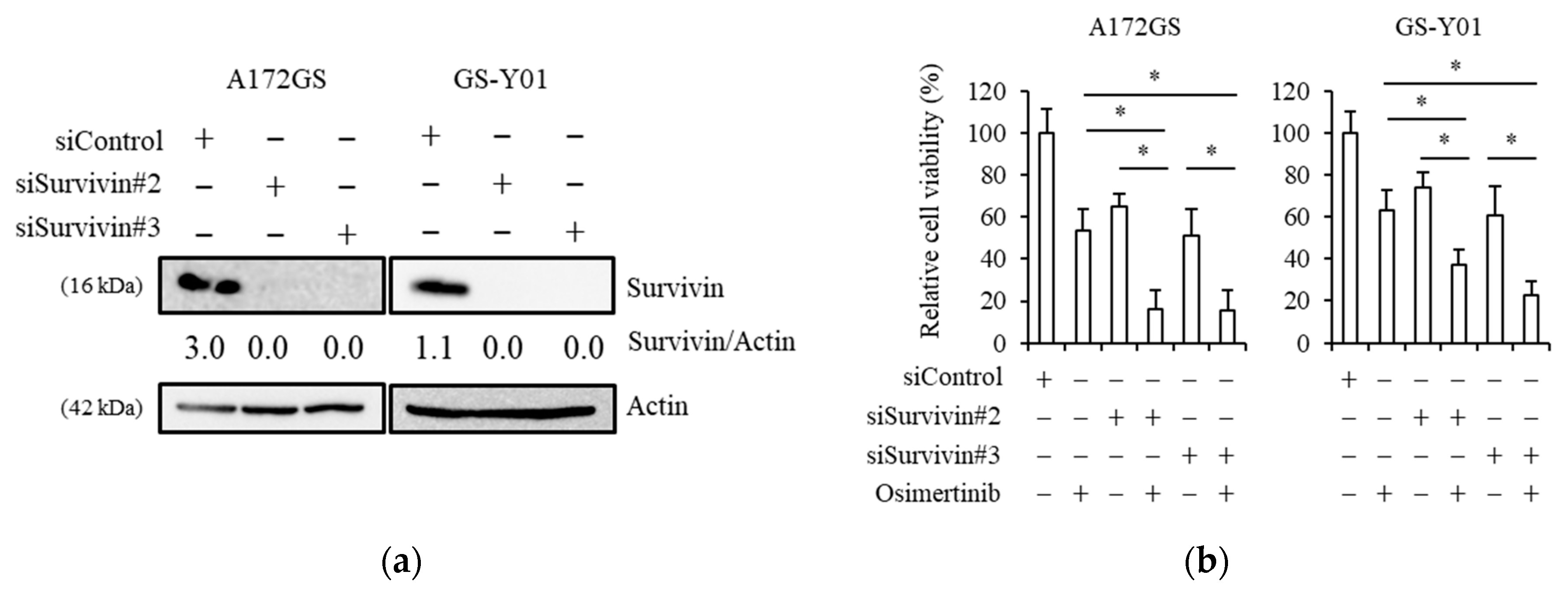 Cancers 11 00947 g003 Cancers 11 00947 g003