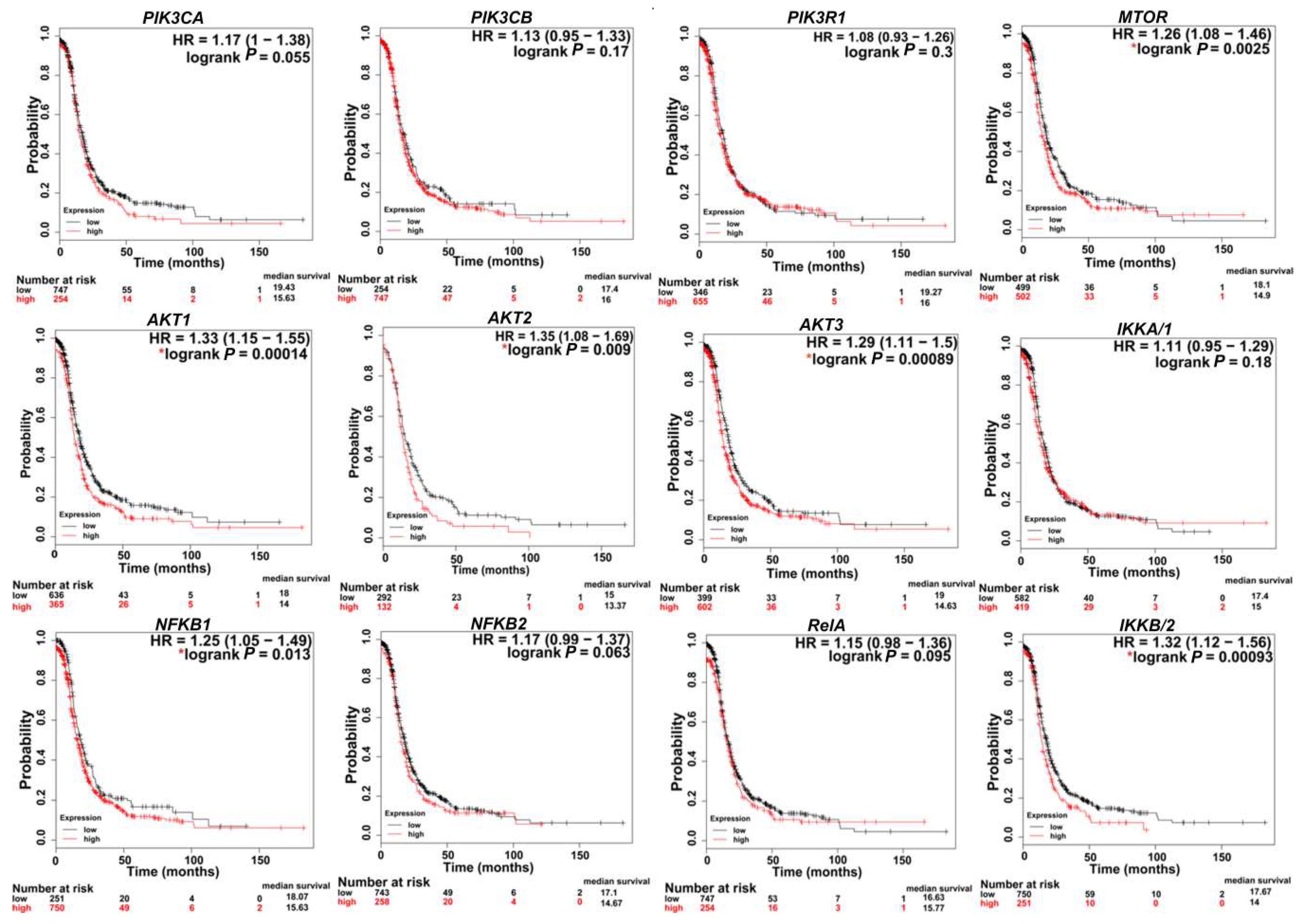 Cancers 11 00949 g003 Cancers 11 00949 g003
