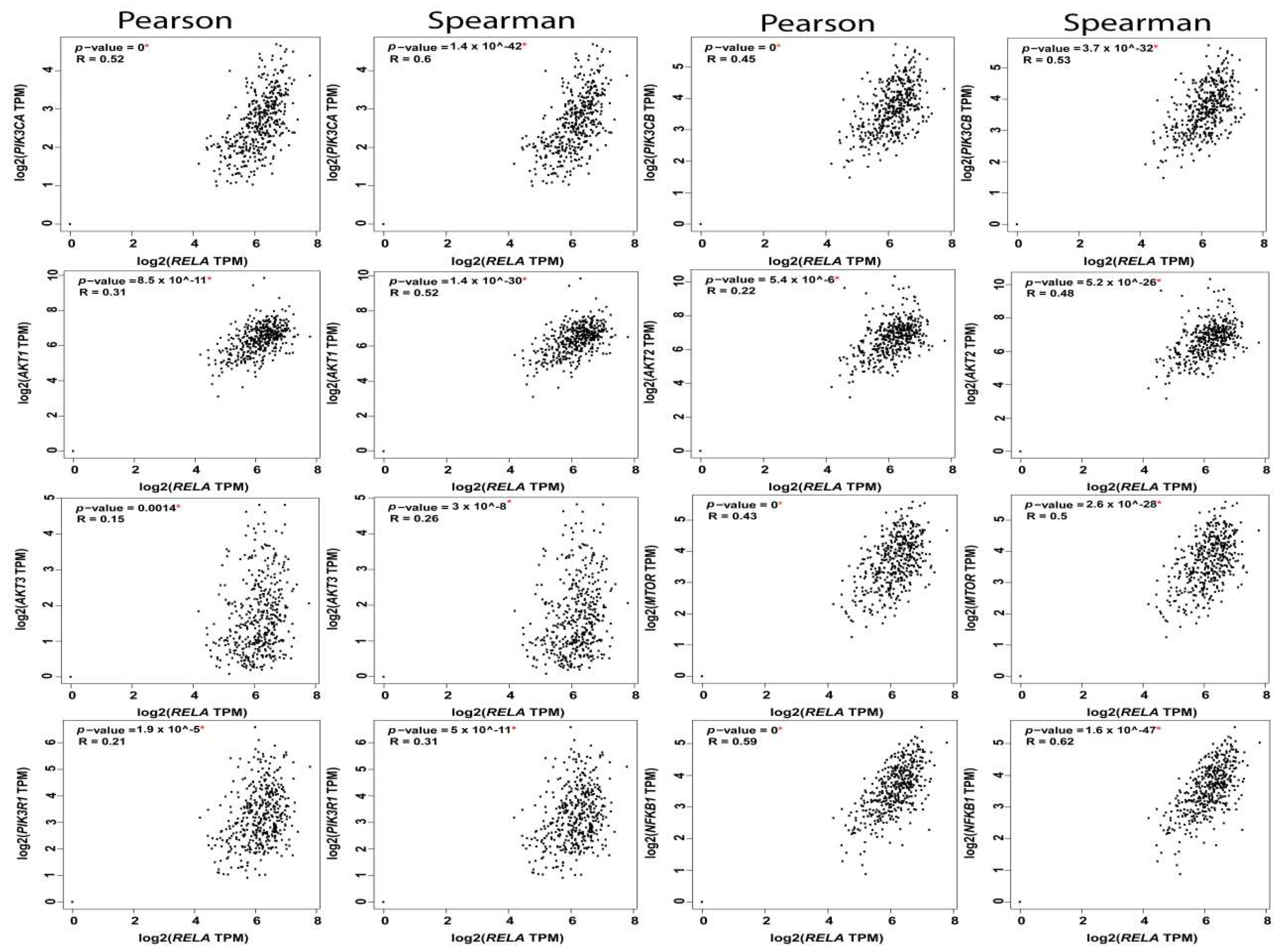 Cancers 11 00949 g004 Cancers 11 00949 g004