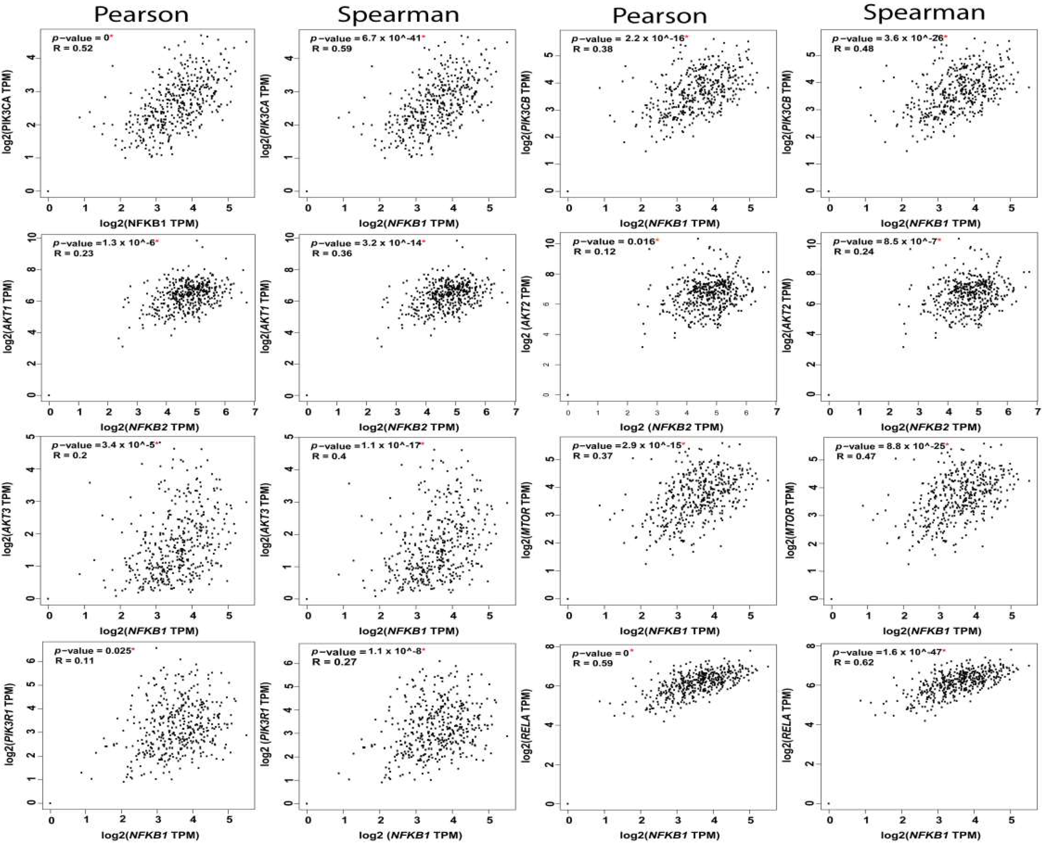 Cancers 11 00949 g005 Cancers 11 00949 g005