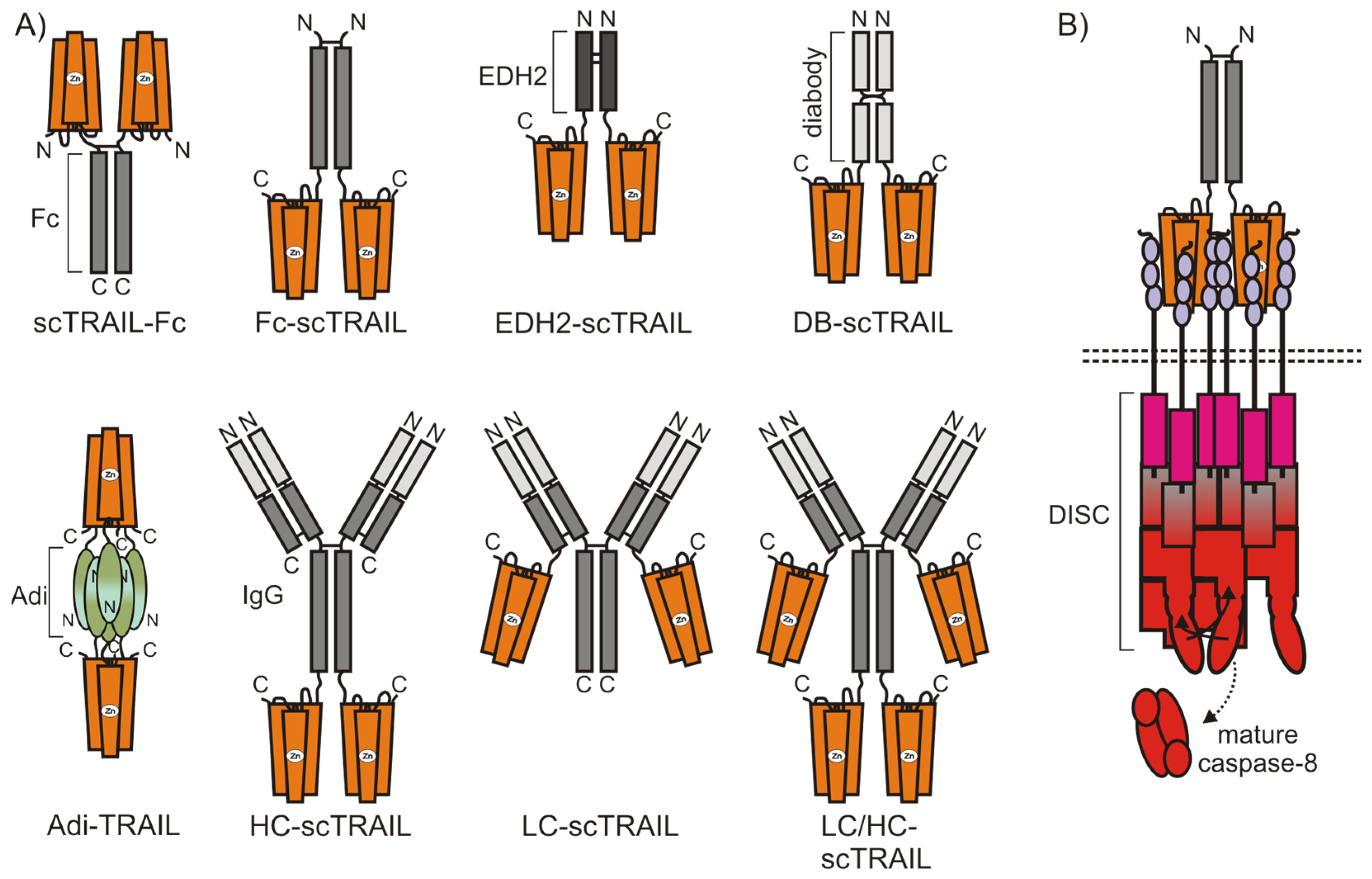 Cancers 11 00954 g005