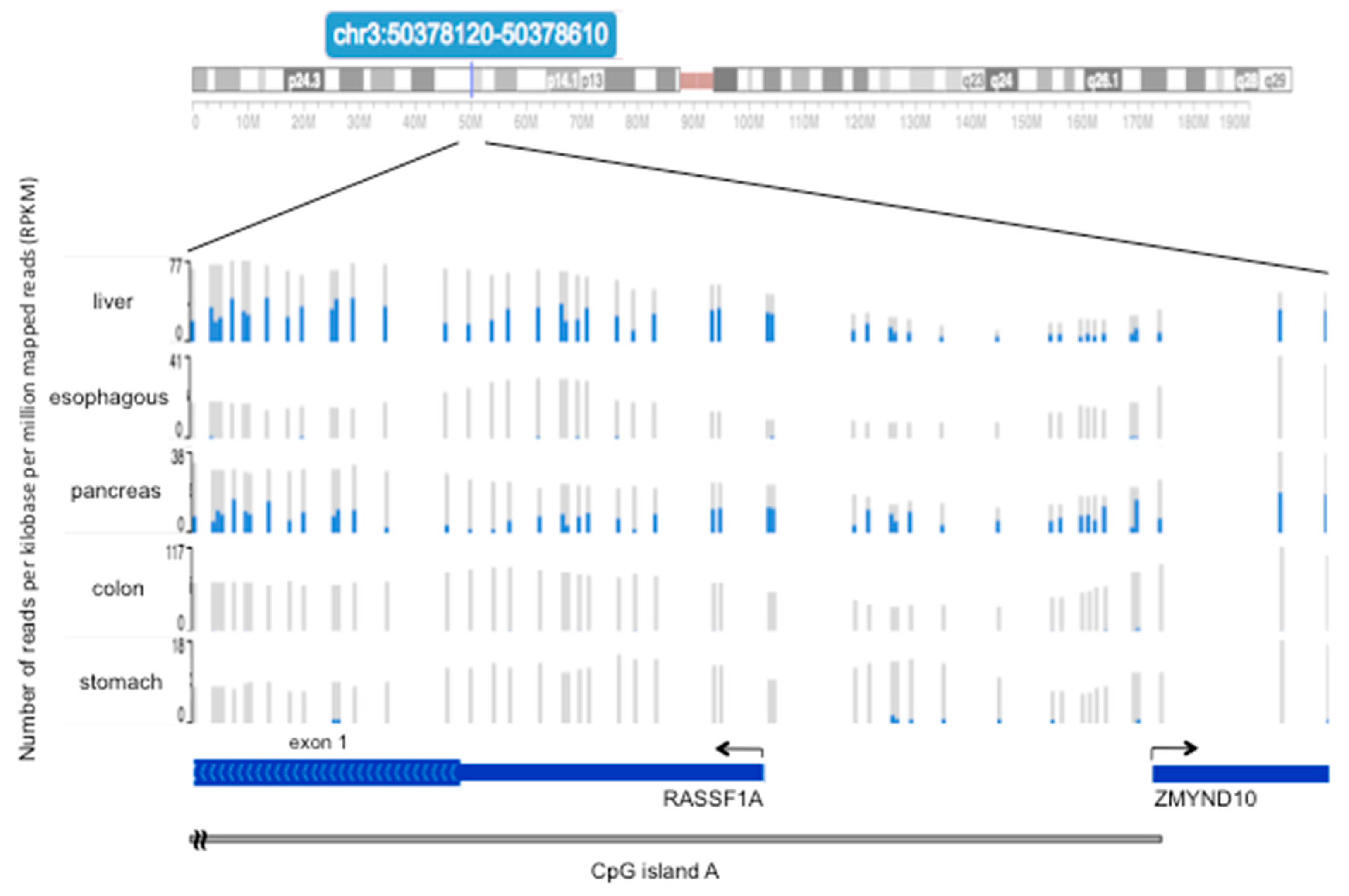 Cancers 11 00959 g002
