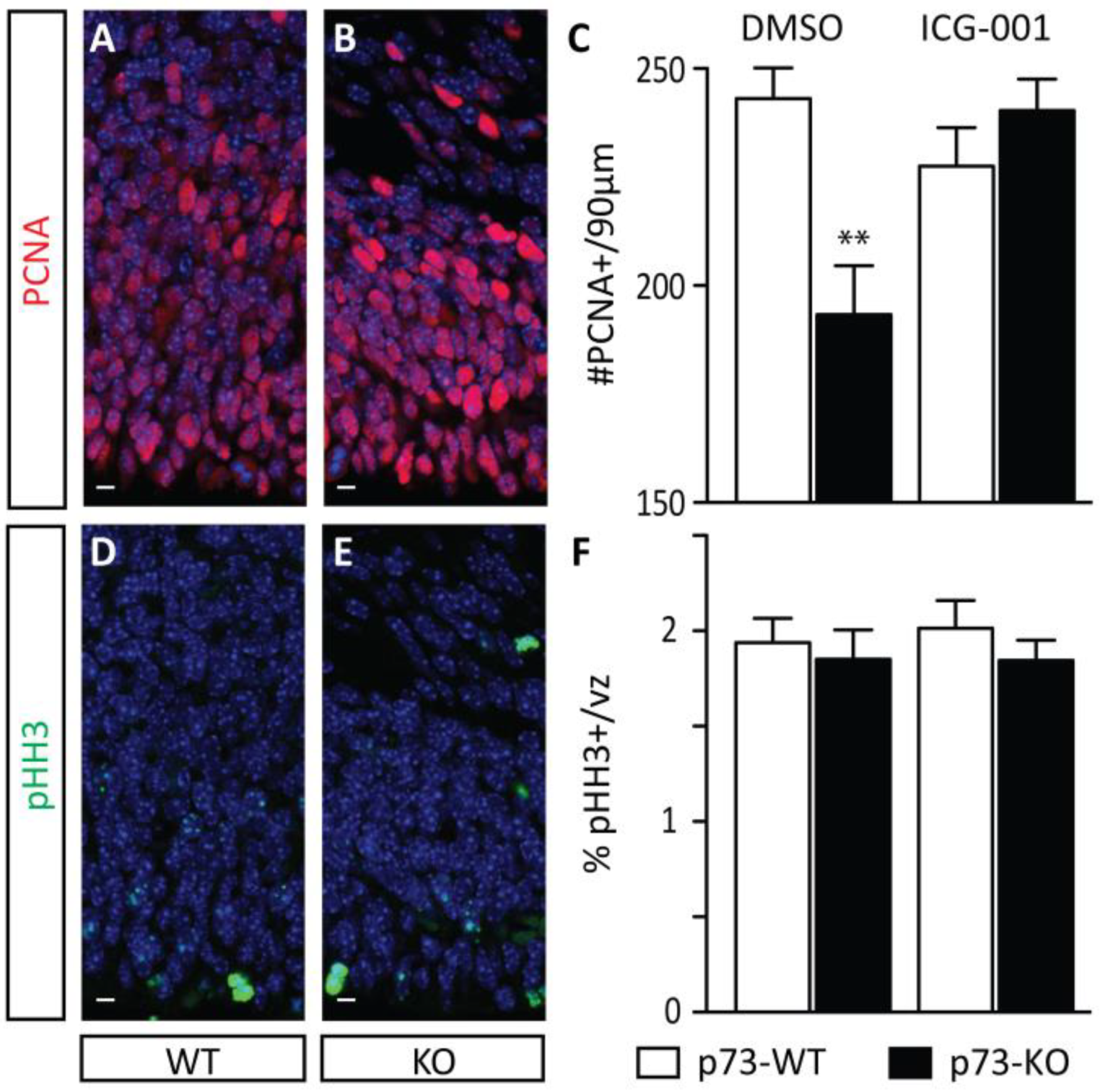 Cancers 11 00962 g002
