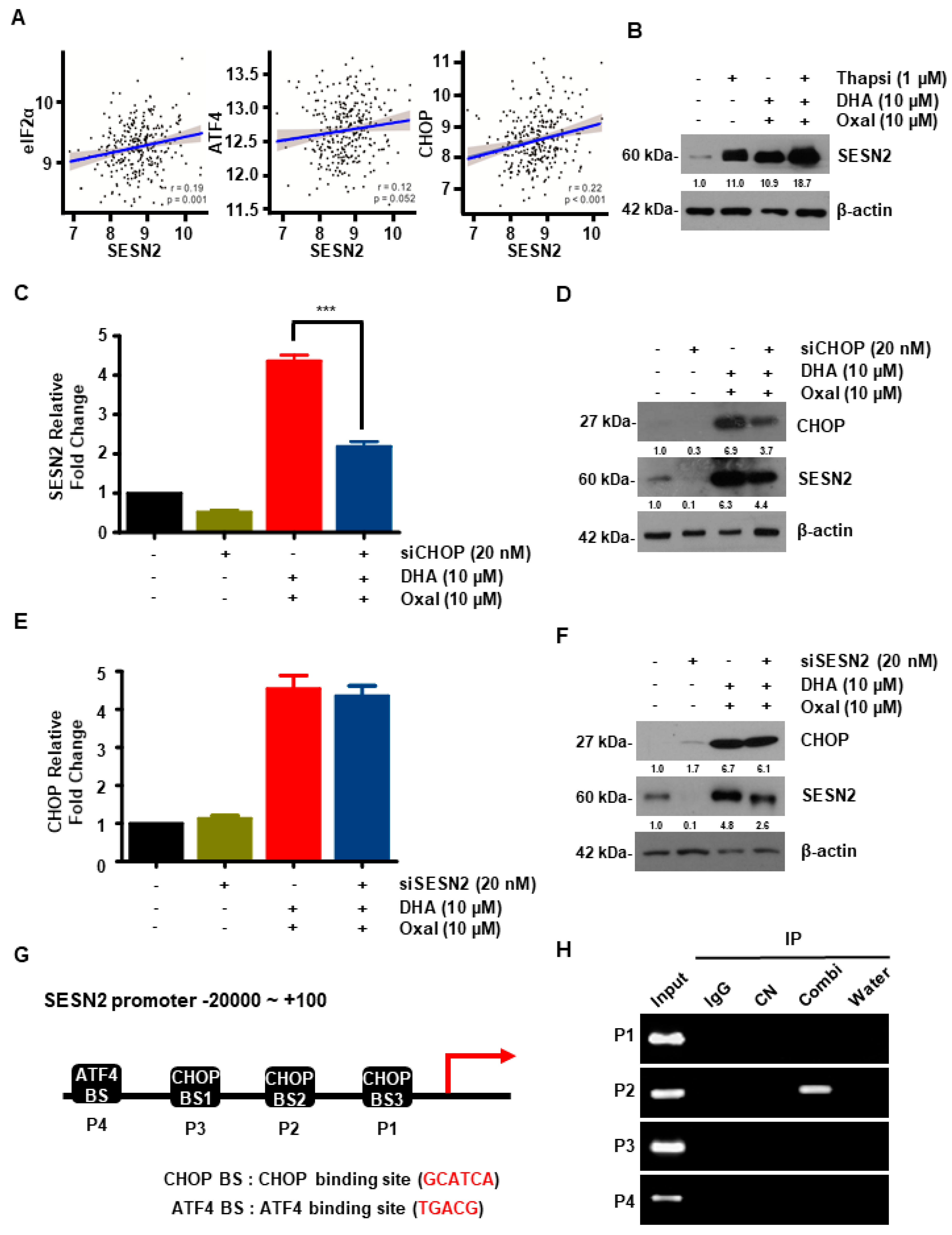 Cancers 11 00982 g005 Cancers 11 00982 g005