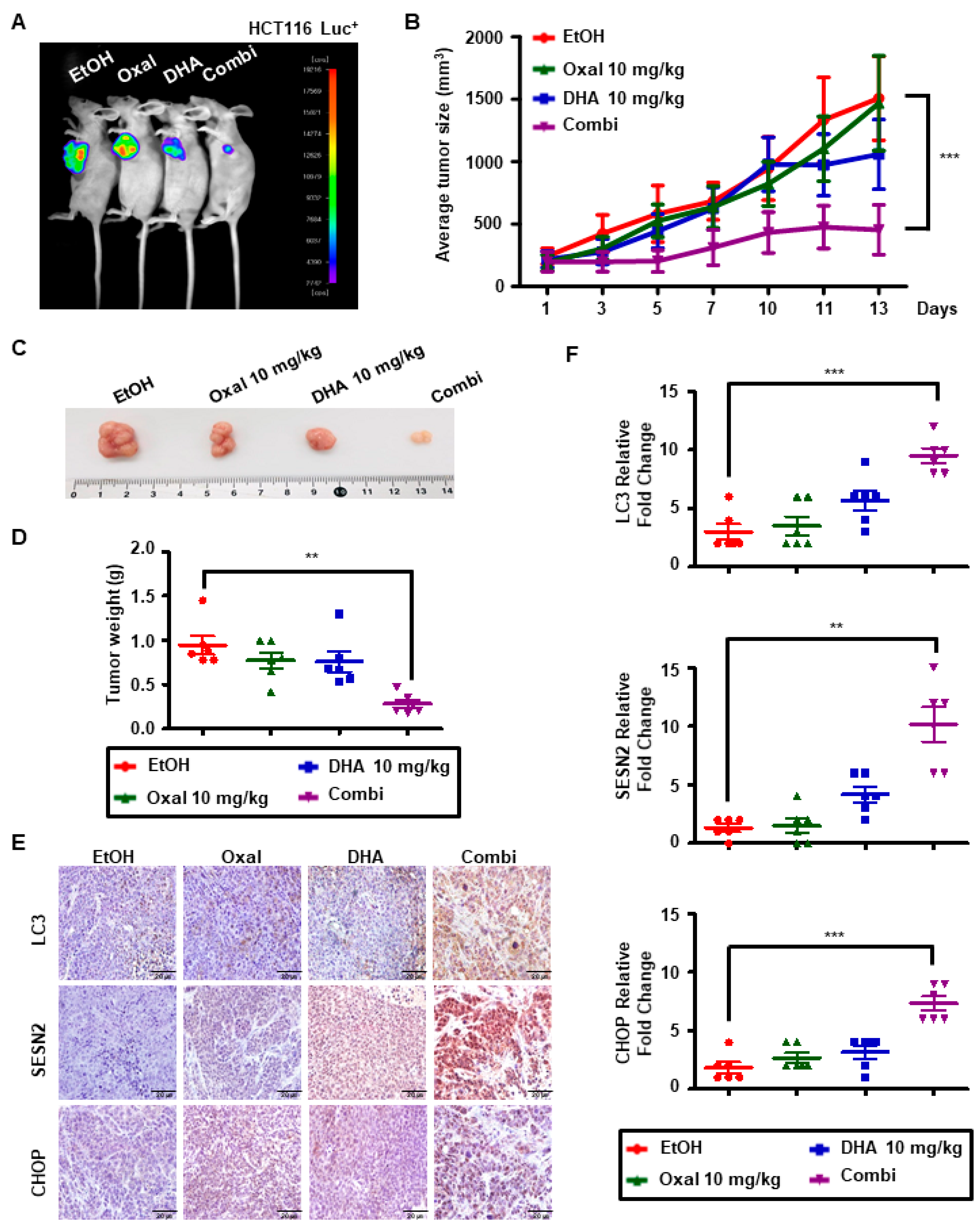 Cancers 11 00982 g006 Cancers 11 00982 g006