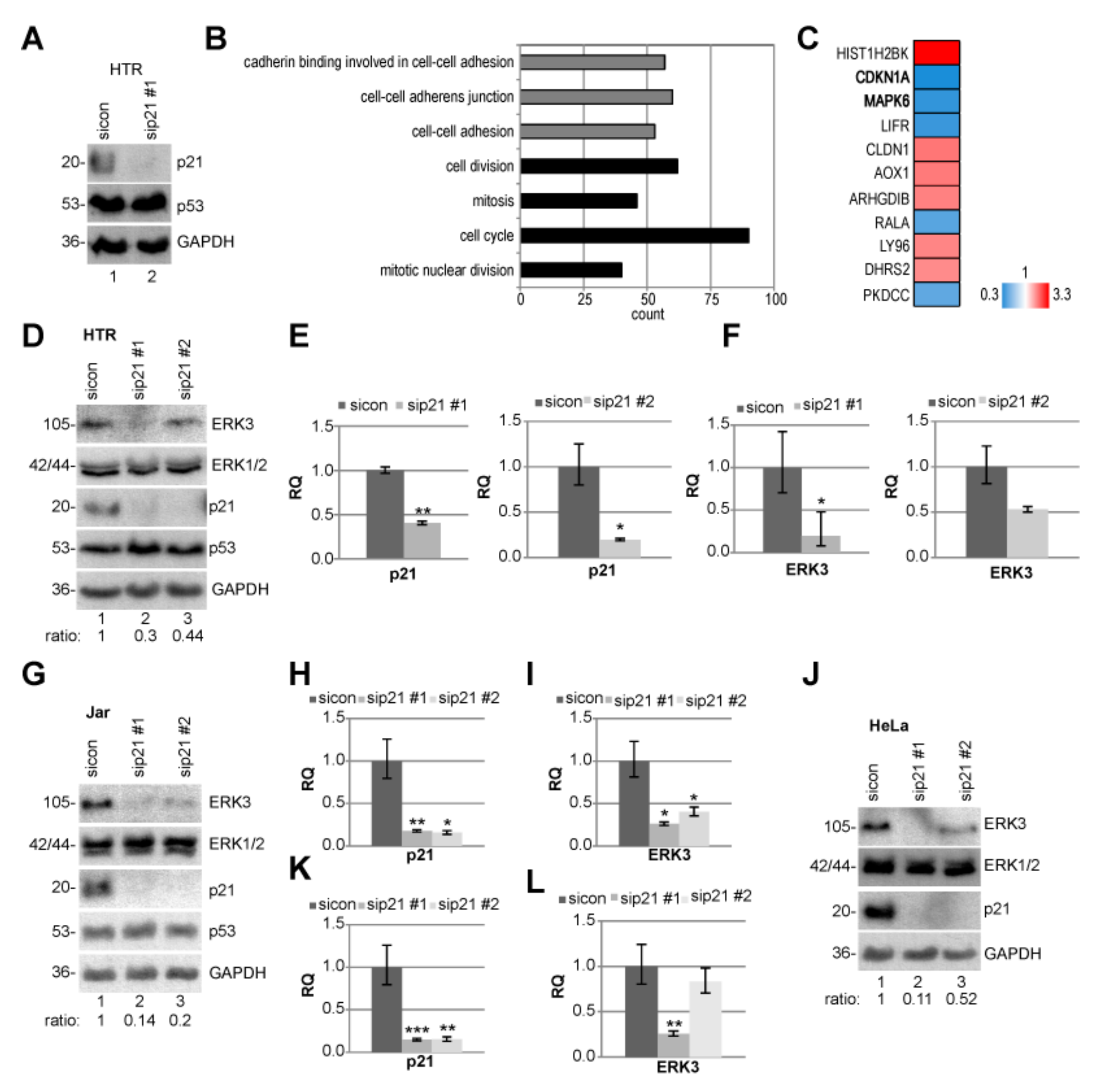 Cancers 11 00989 g005 Cancers 11 00989 g005