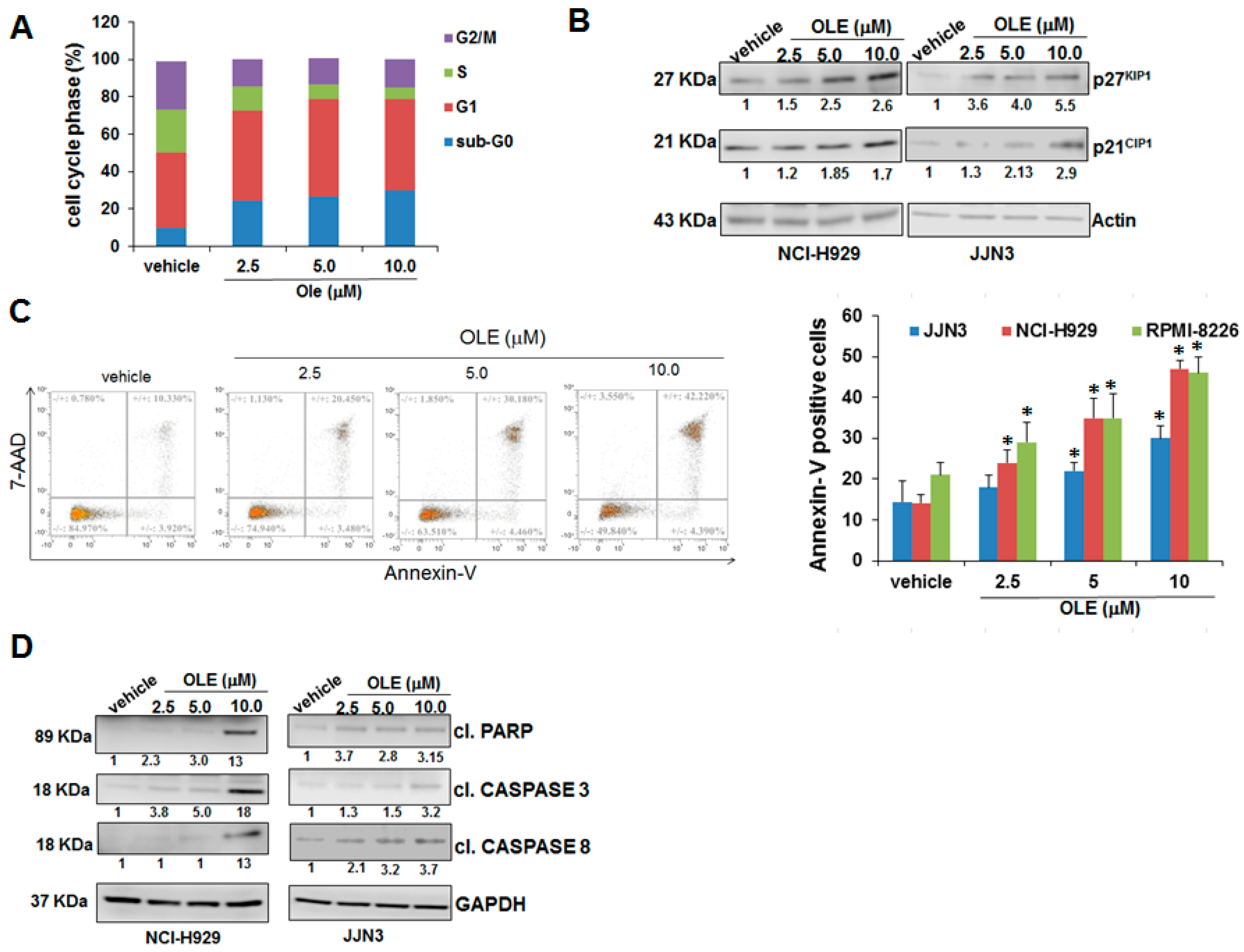 Cancers 11 00990 g002